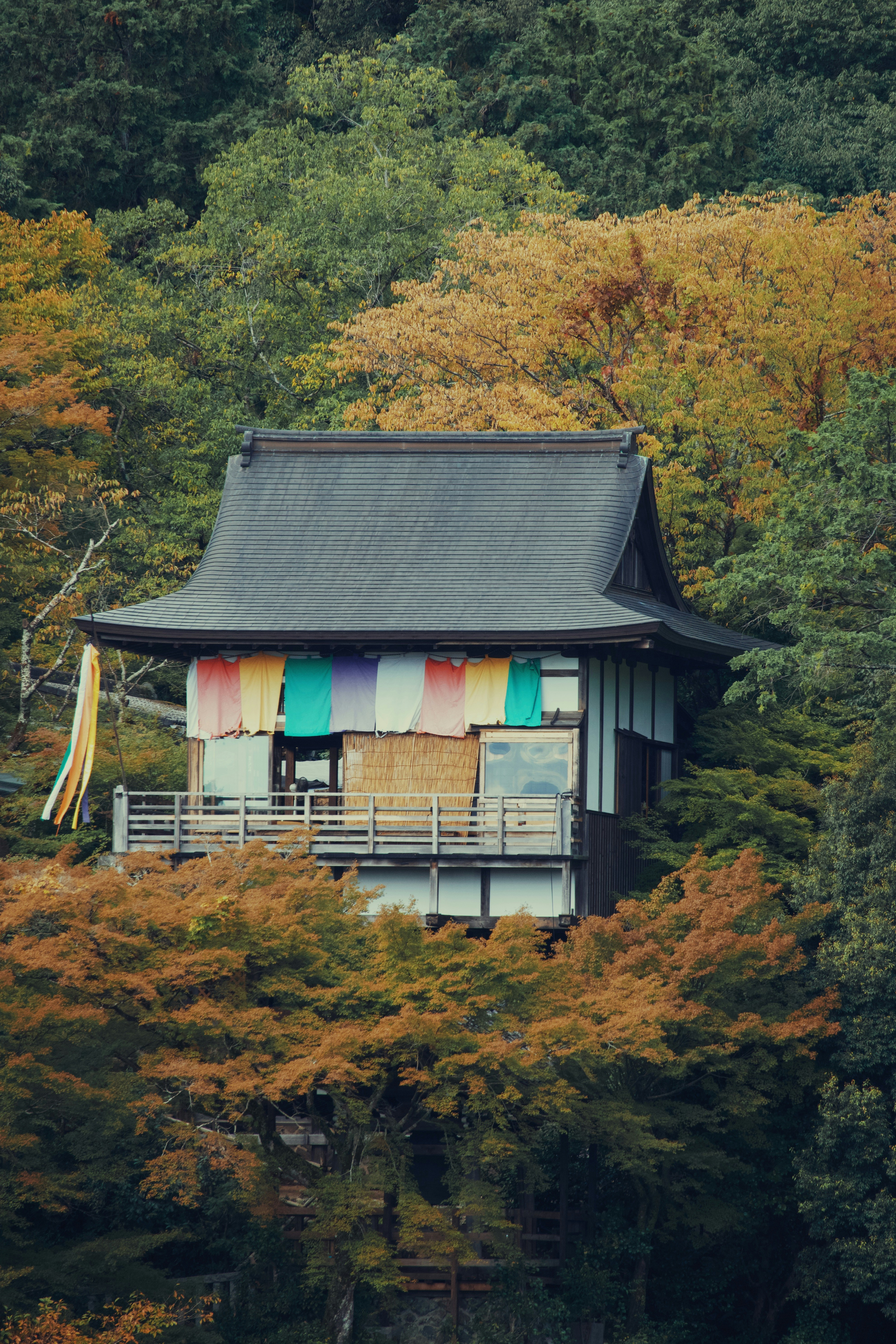 Japanese temple nestled among autumn trees