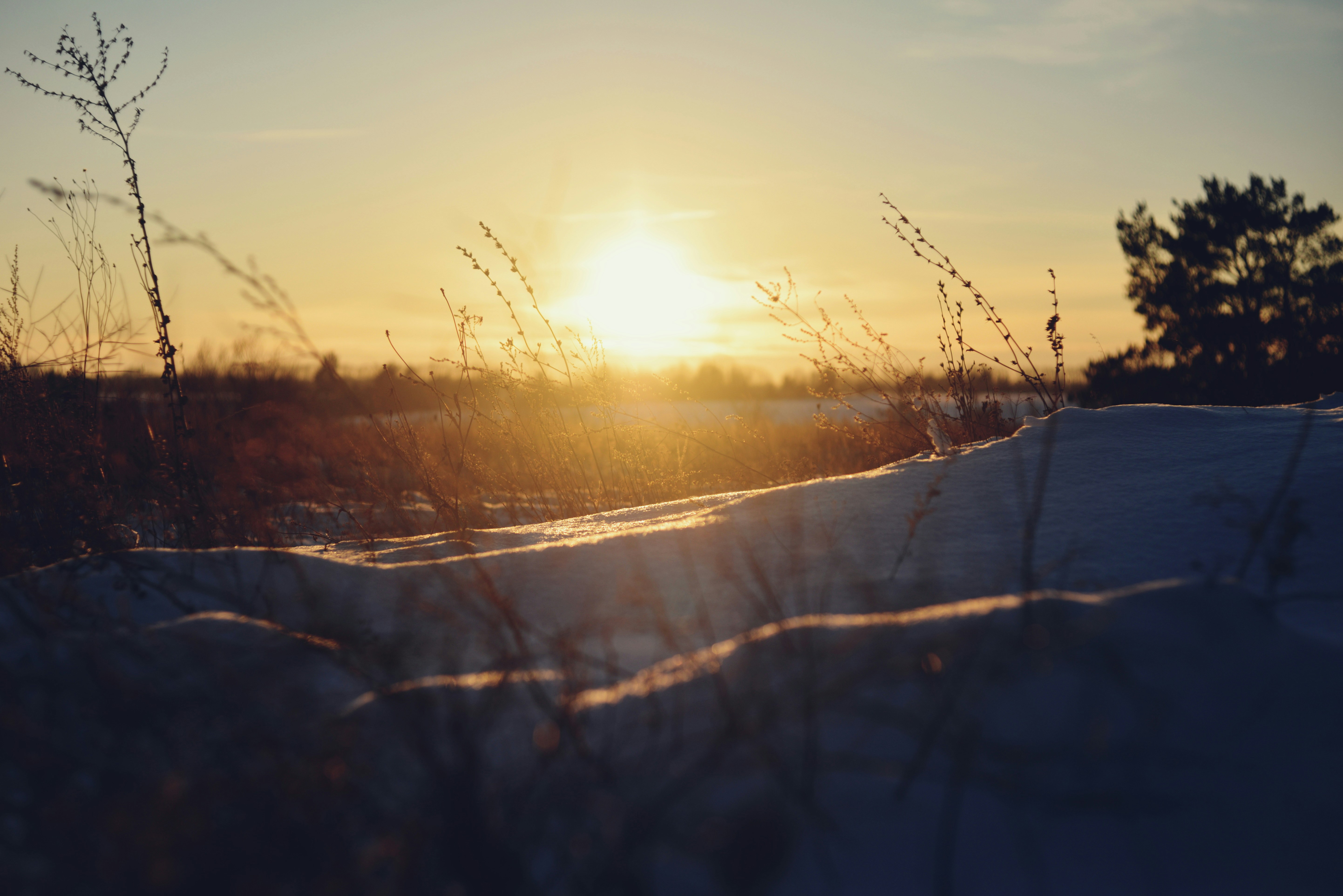 Photo by cherstve_pechivo