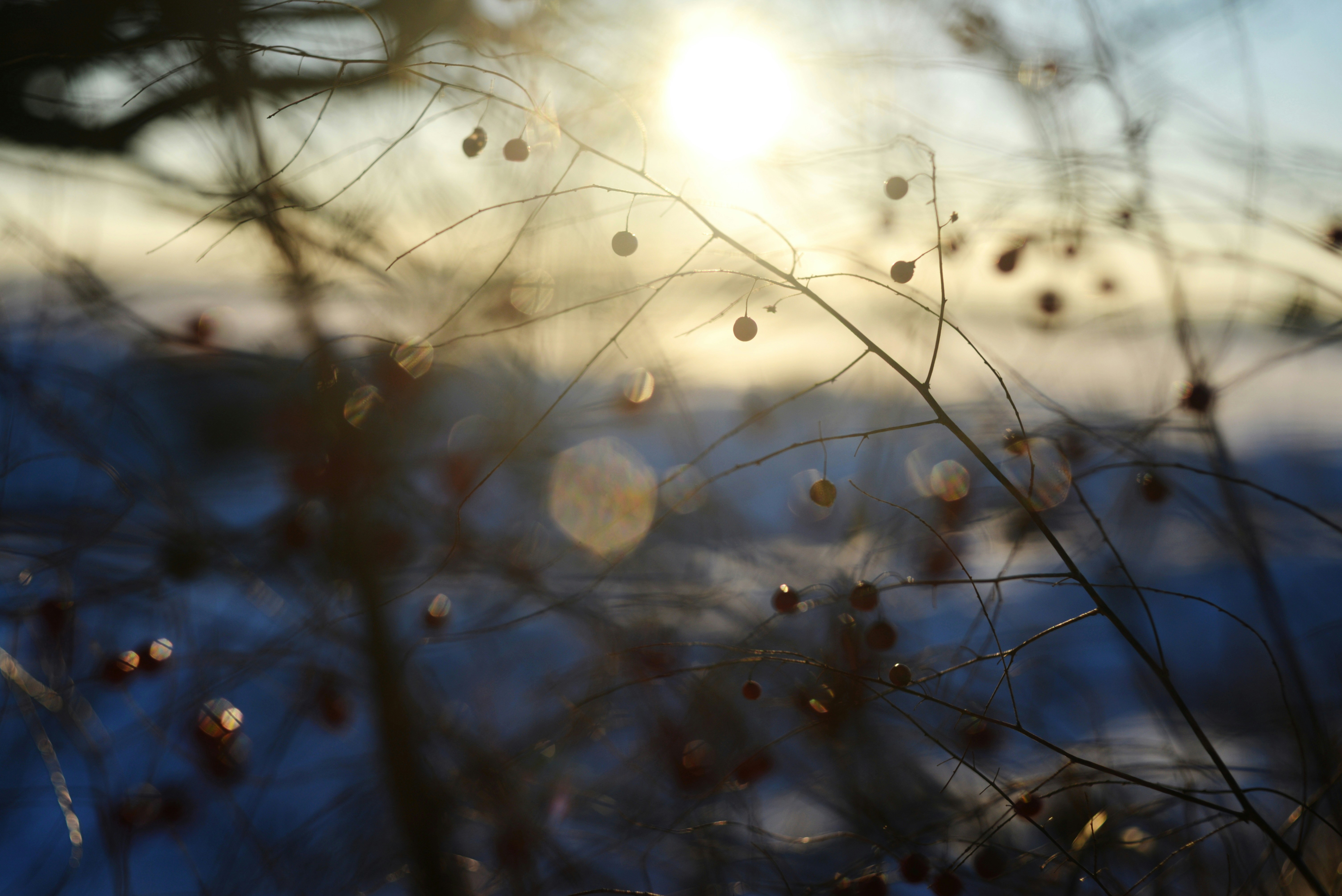 Photo by cherstve_pechivo