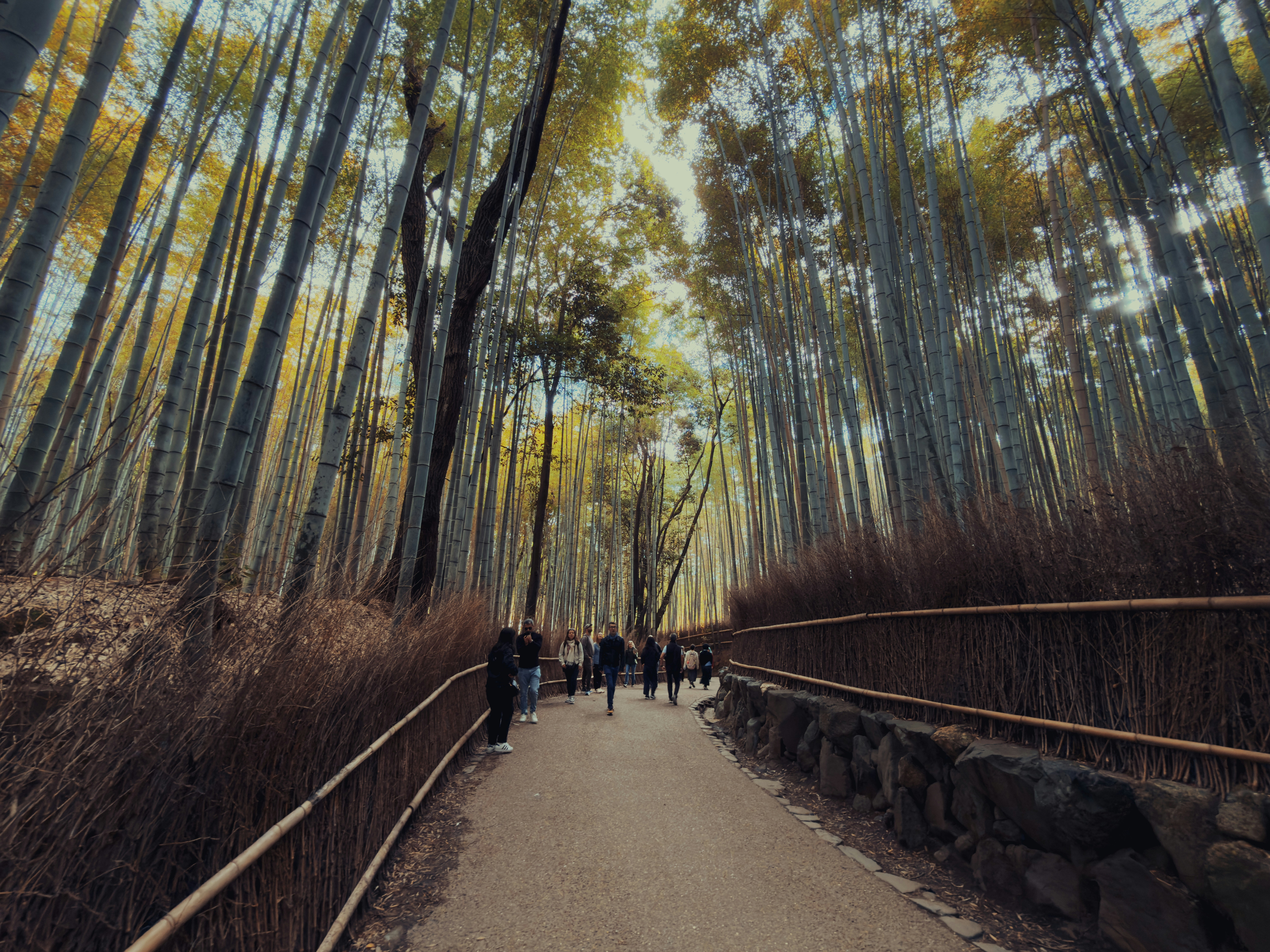 Photo by mahesh_ranaweera