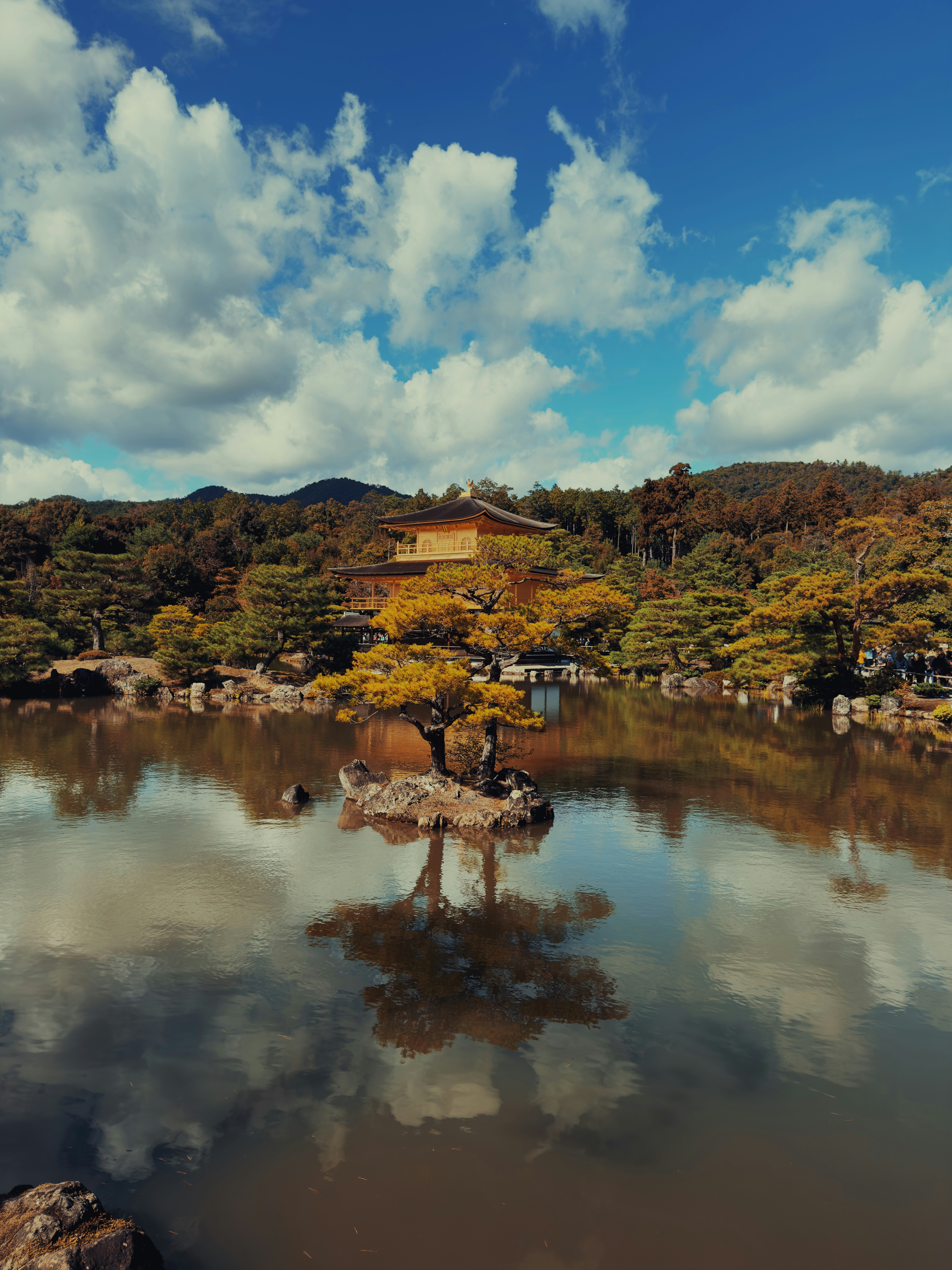 Photo by mahesh_ranaweera