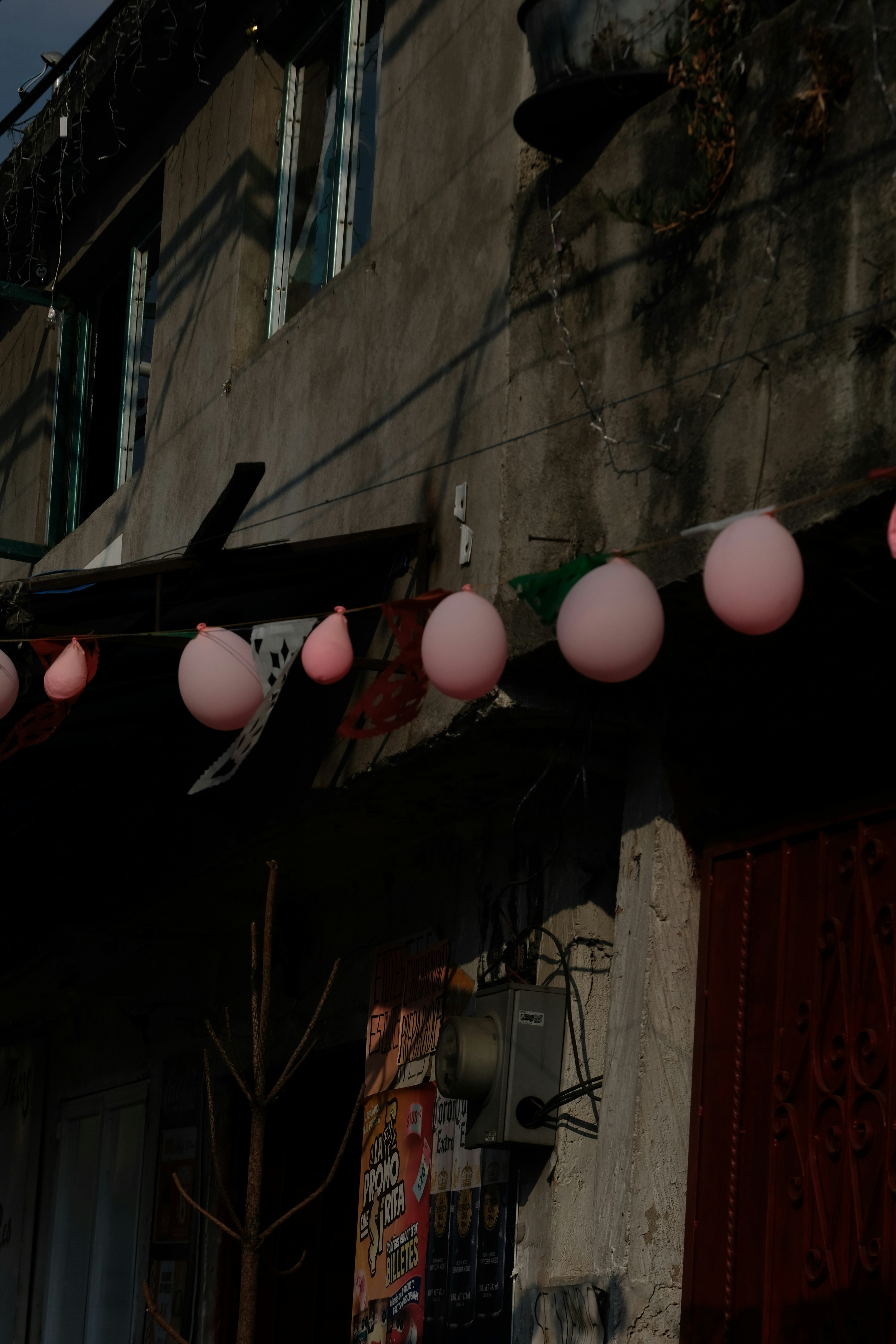 Pink balloons hang on a string outside building.