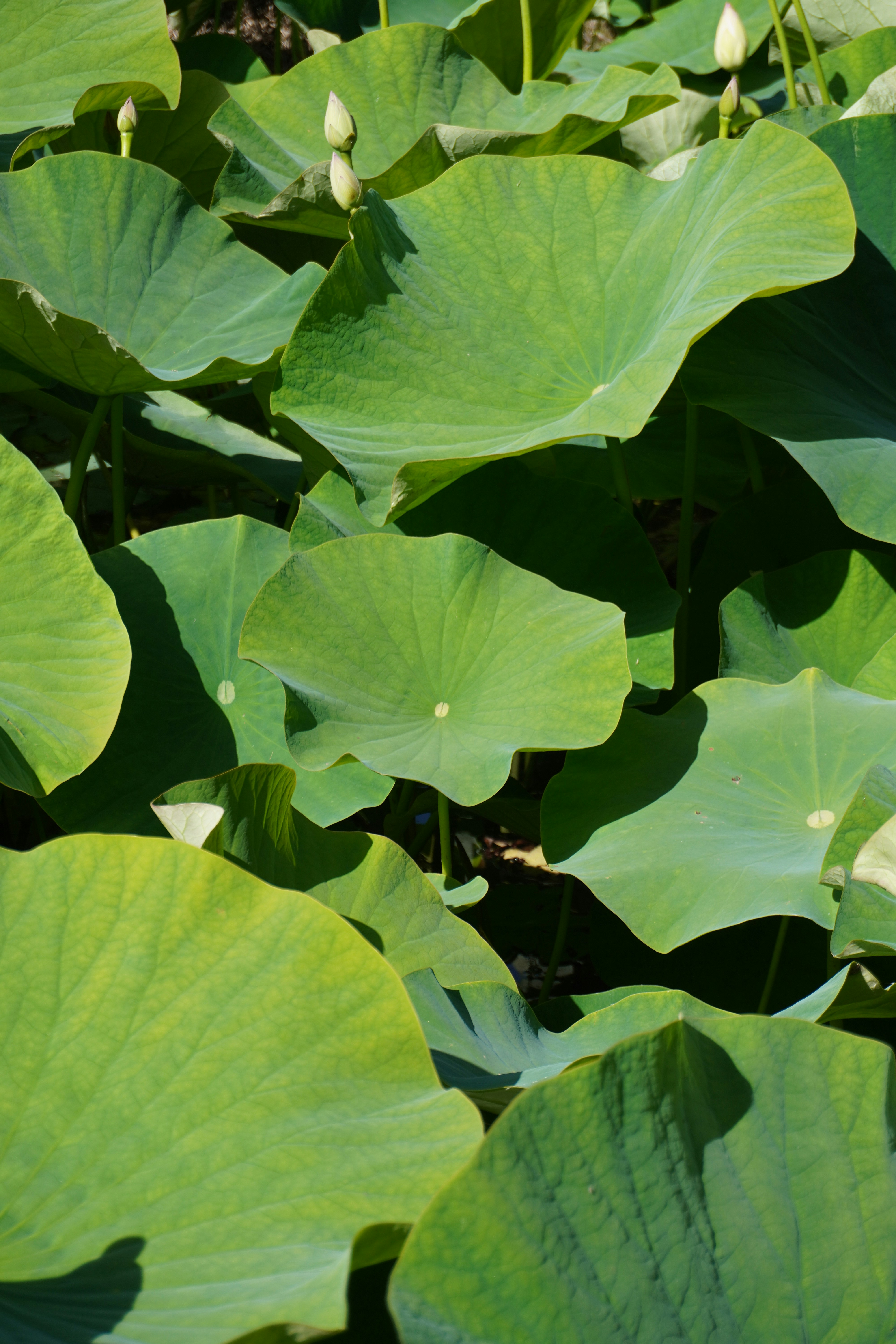 Photo by cherrymacherie