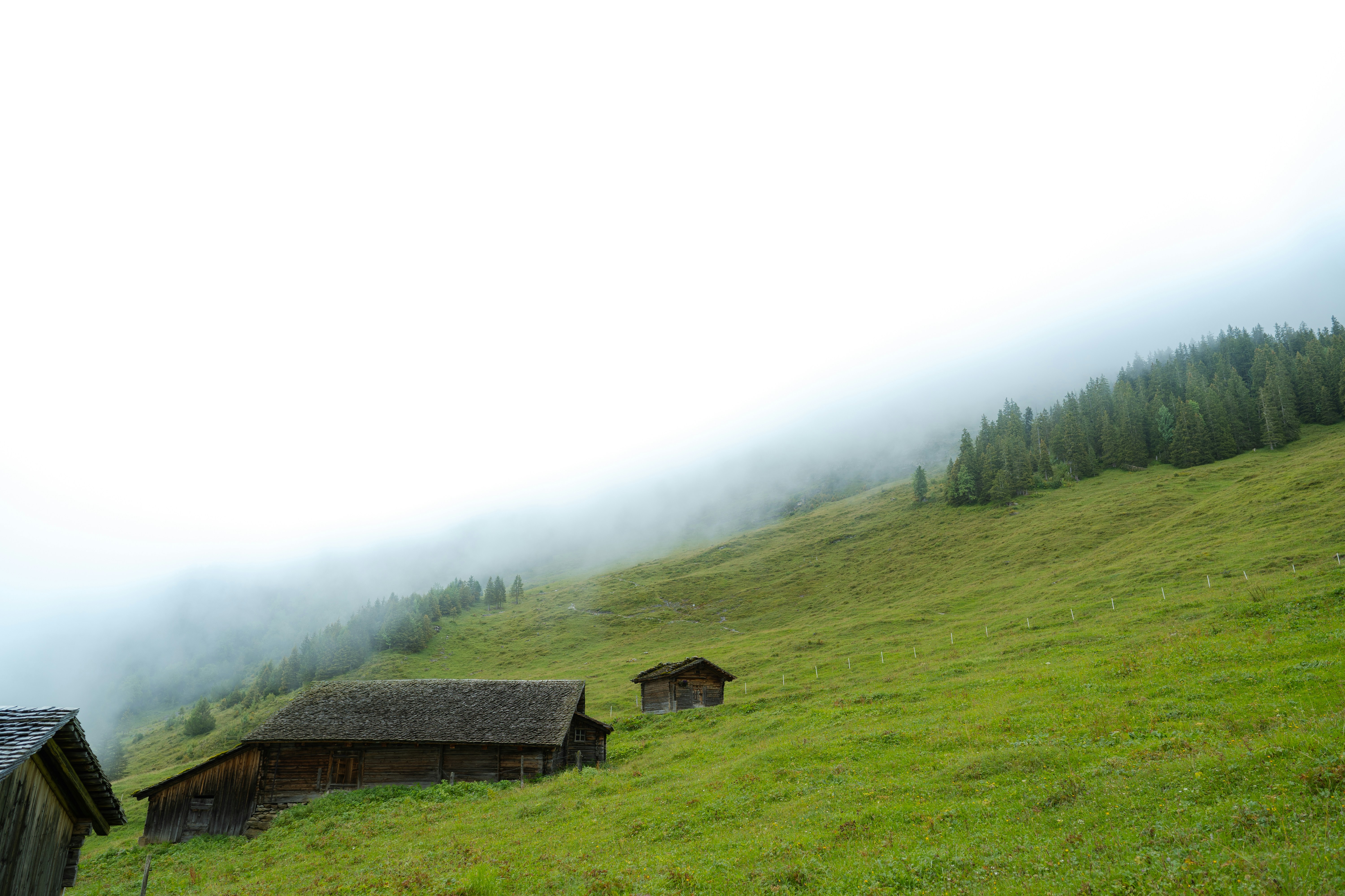 Photo by cirelligabriel