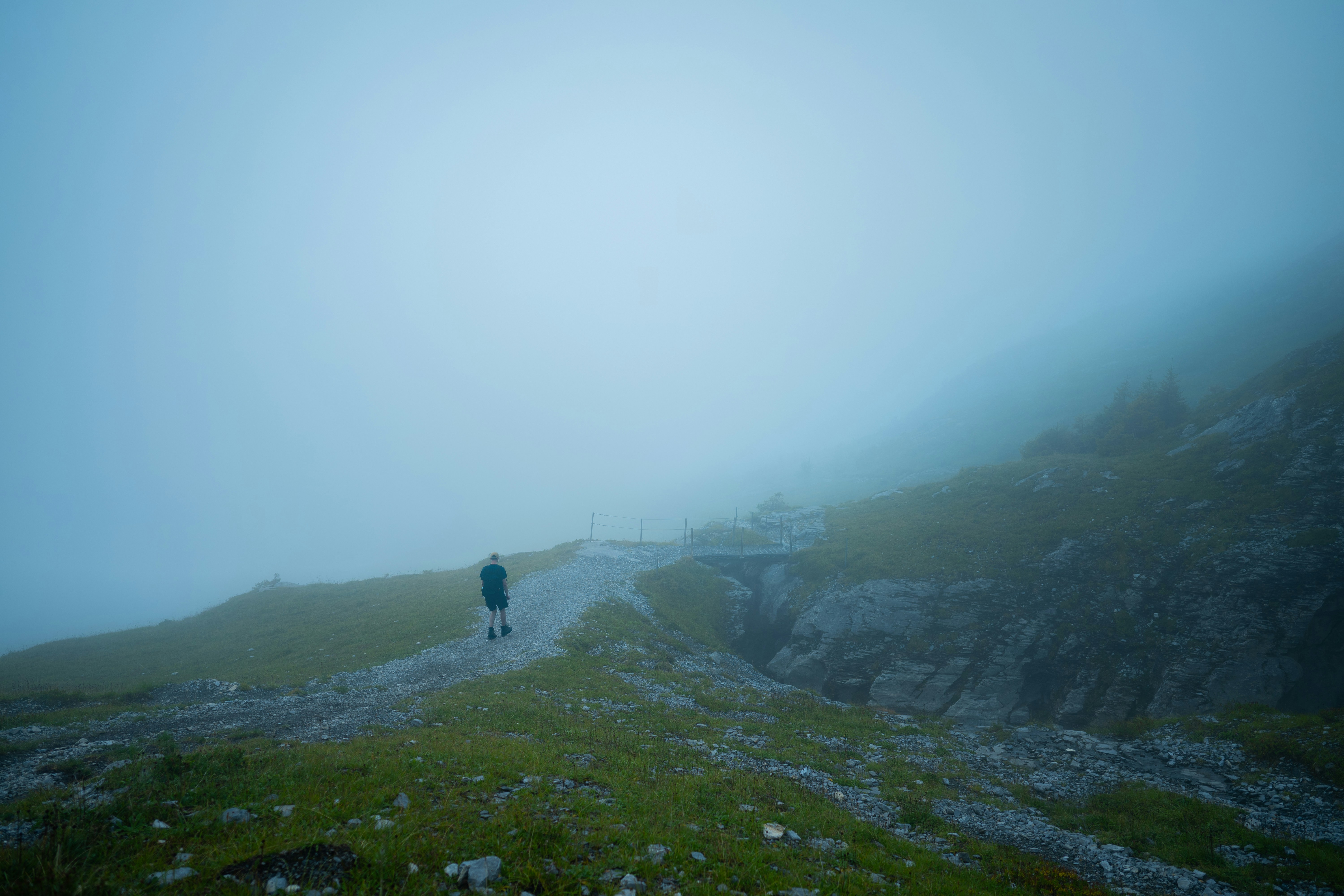 Photo by cirelligabriel