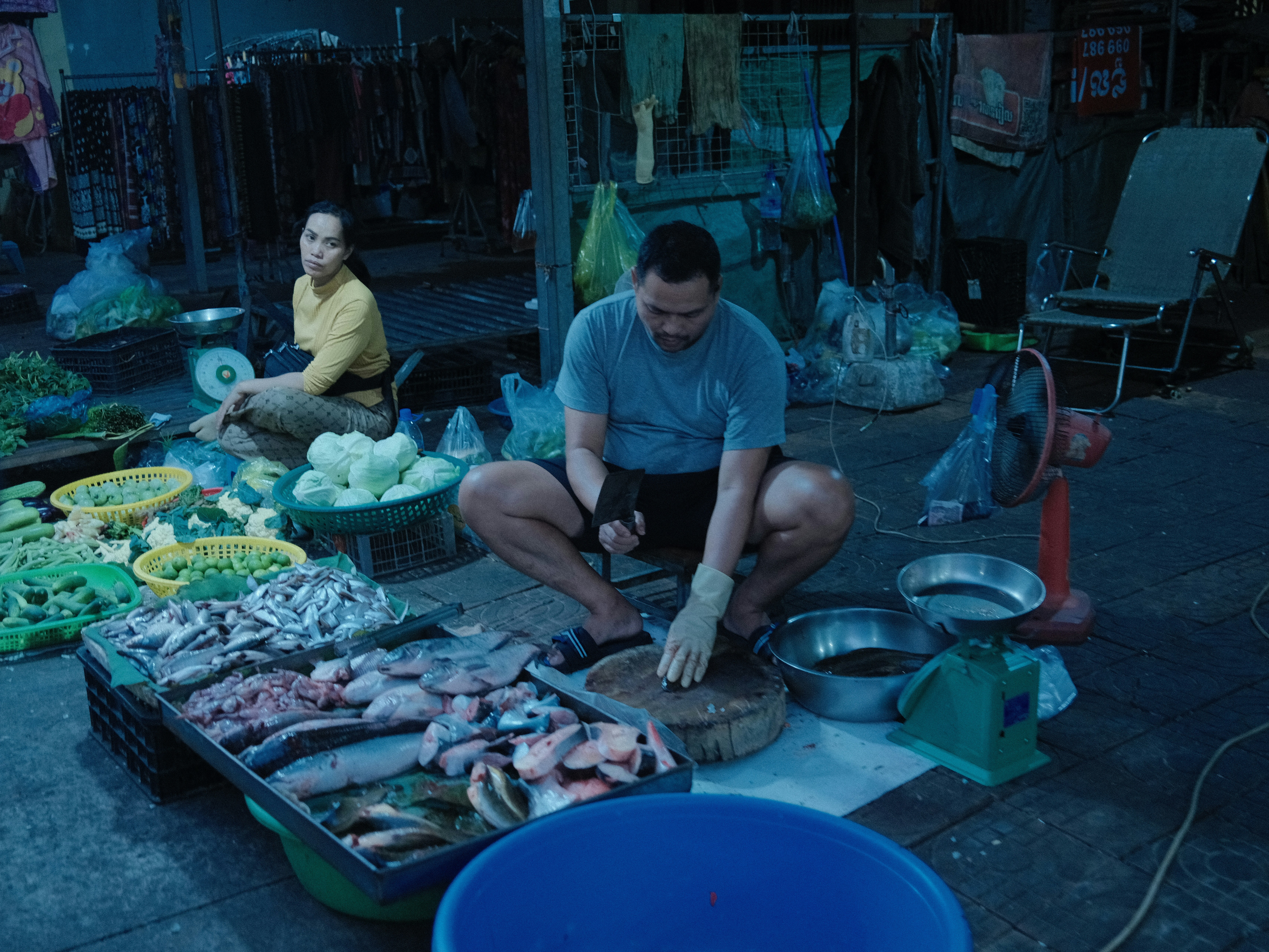 From Farm to Facial: Traceability and Regenerative Sourcing for Aloe Vera Brands in 2026