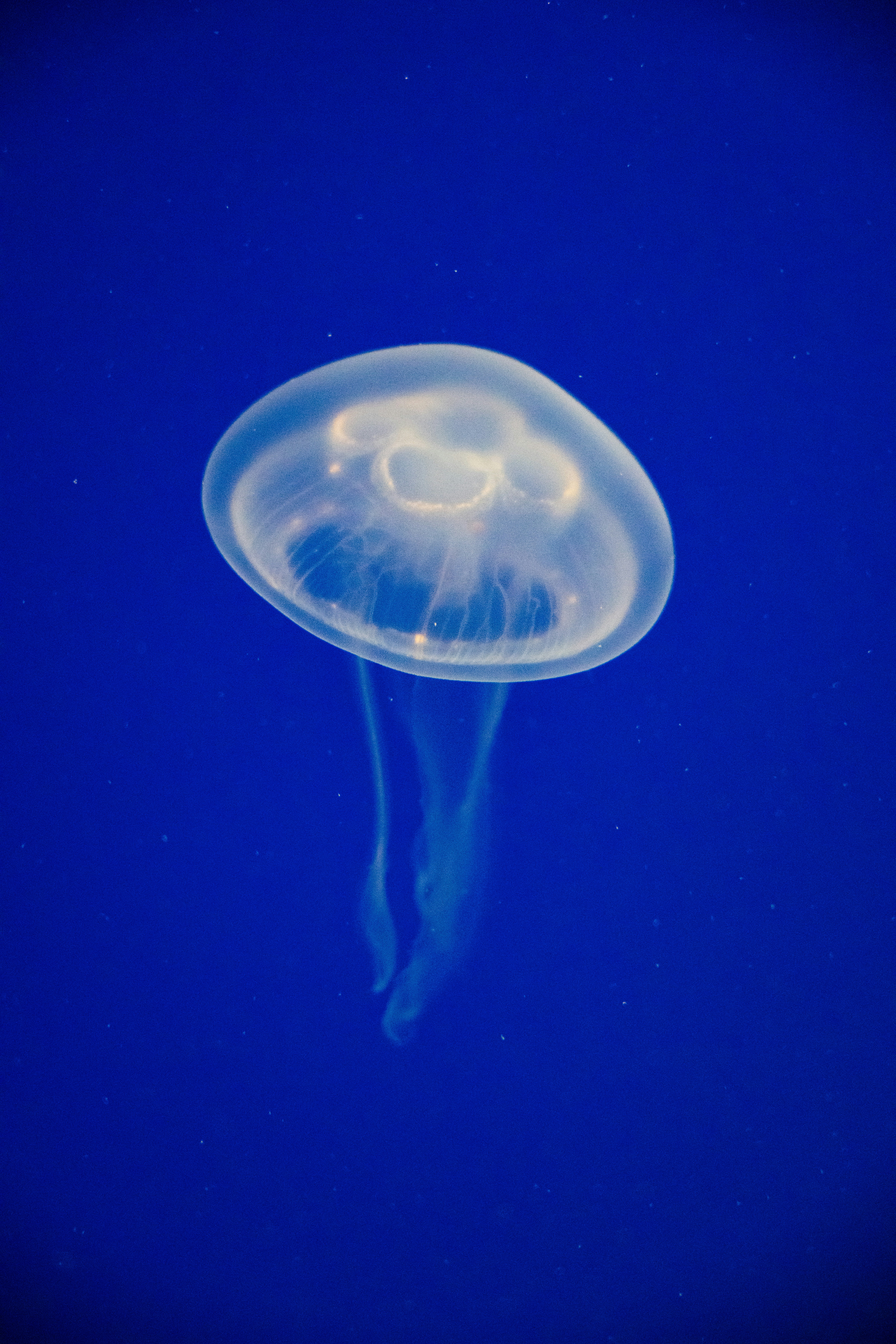 Photo by nathan030997