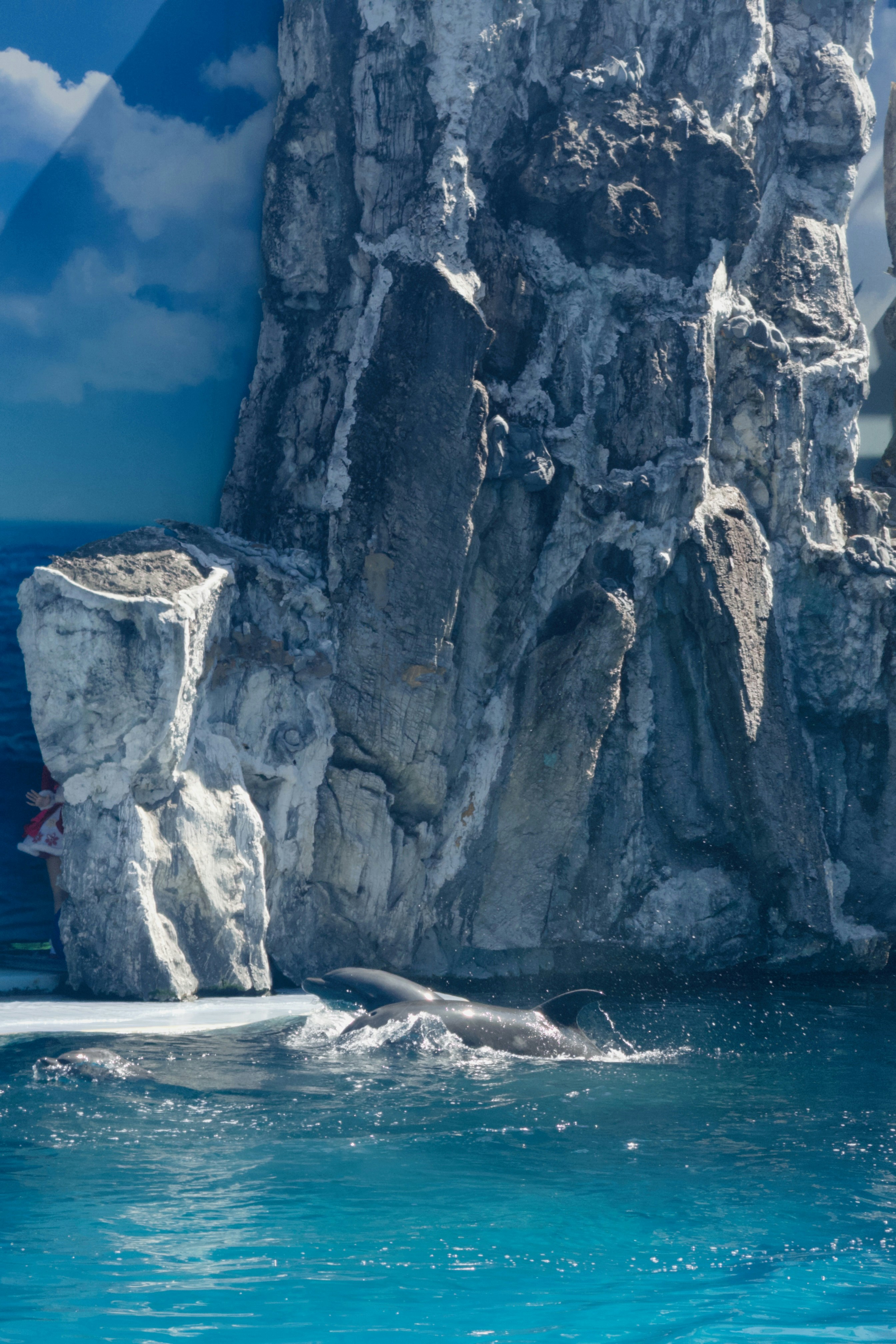 Dolphins swimming near icy rocks in blue water.