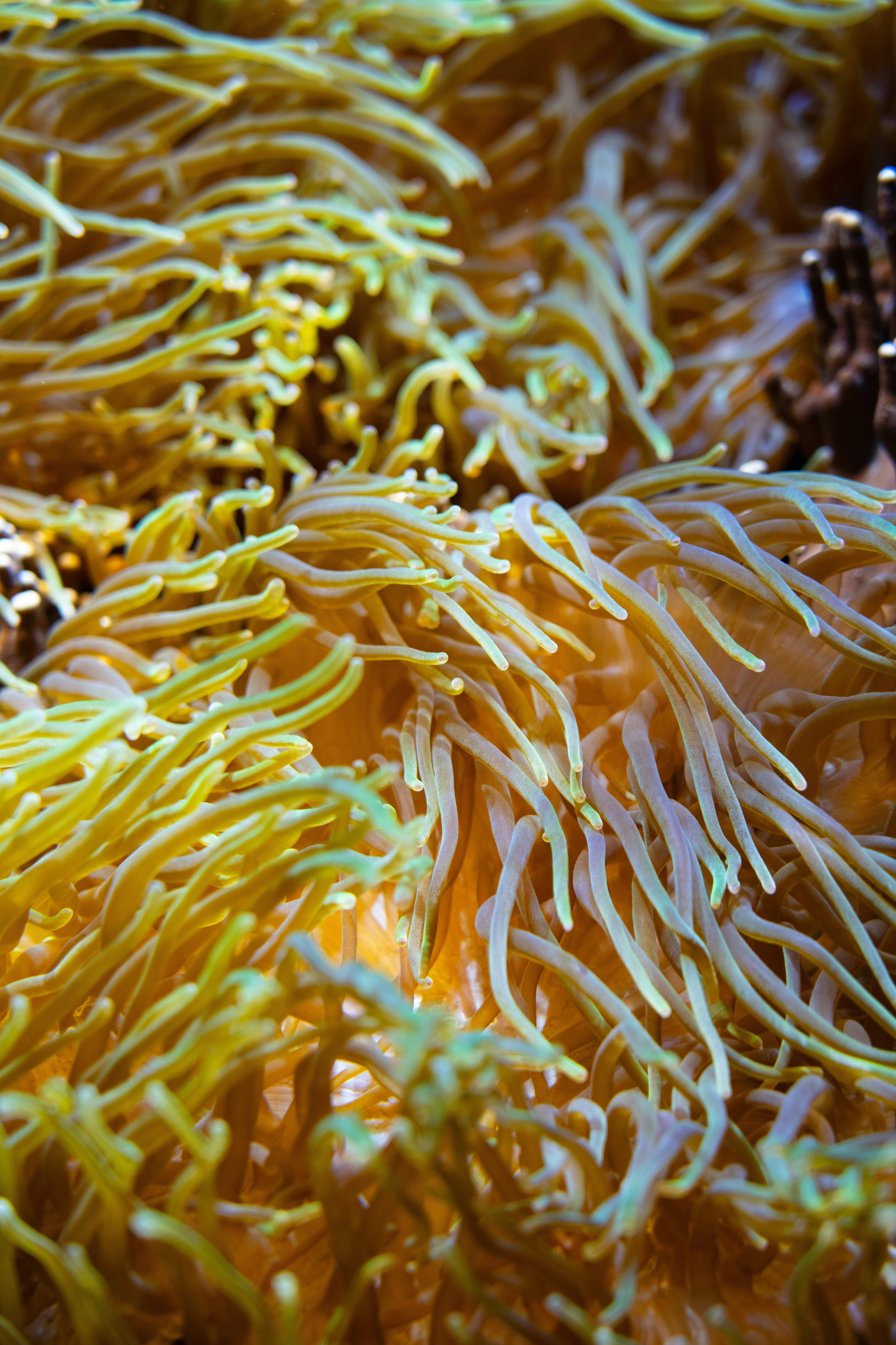 Photo by nathan030997