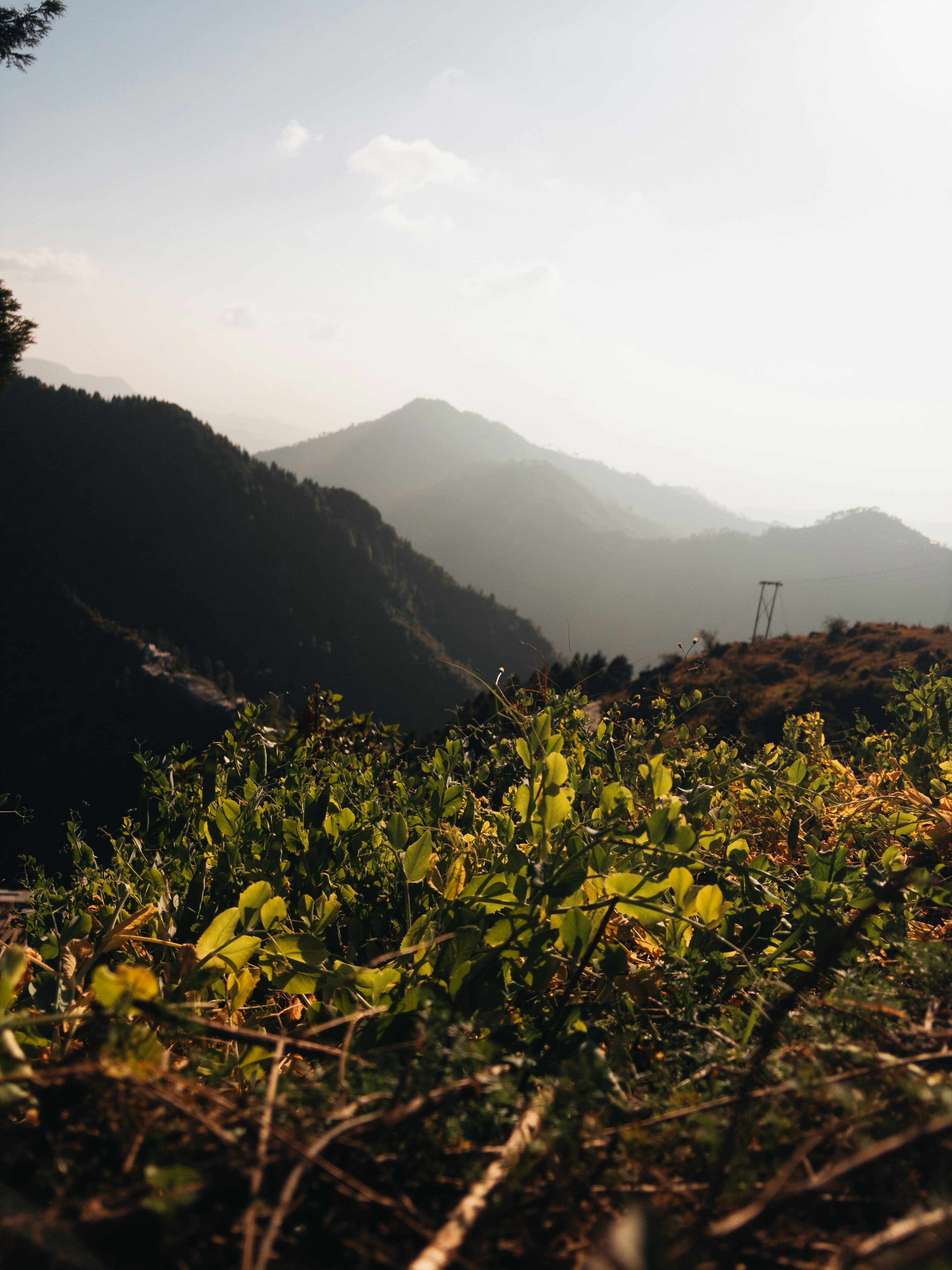 Photo by musicnation