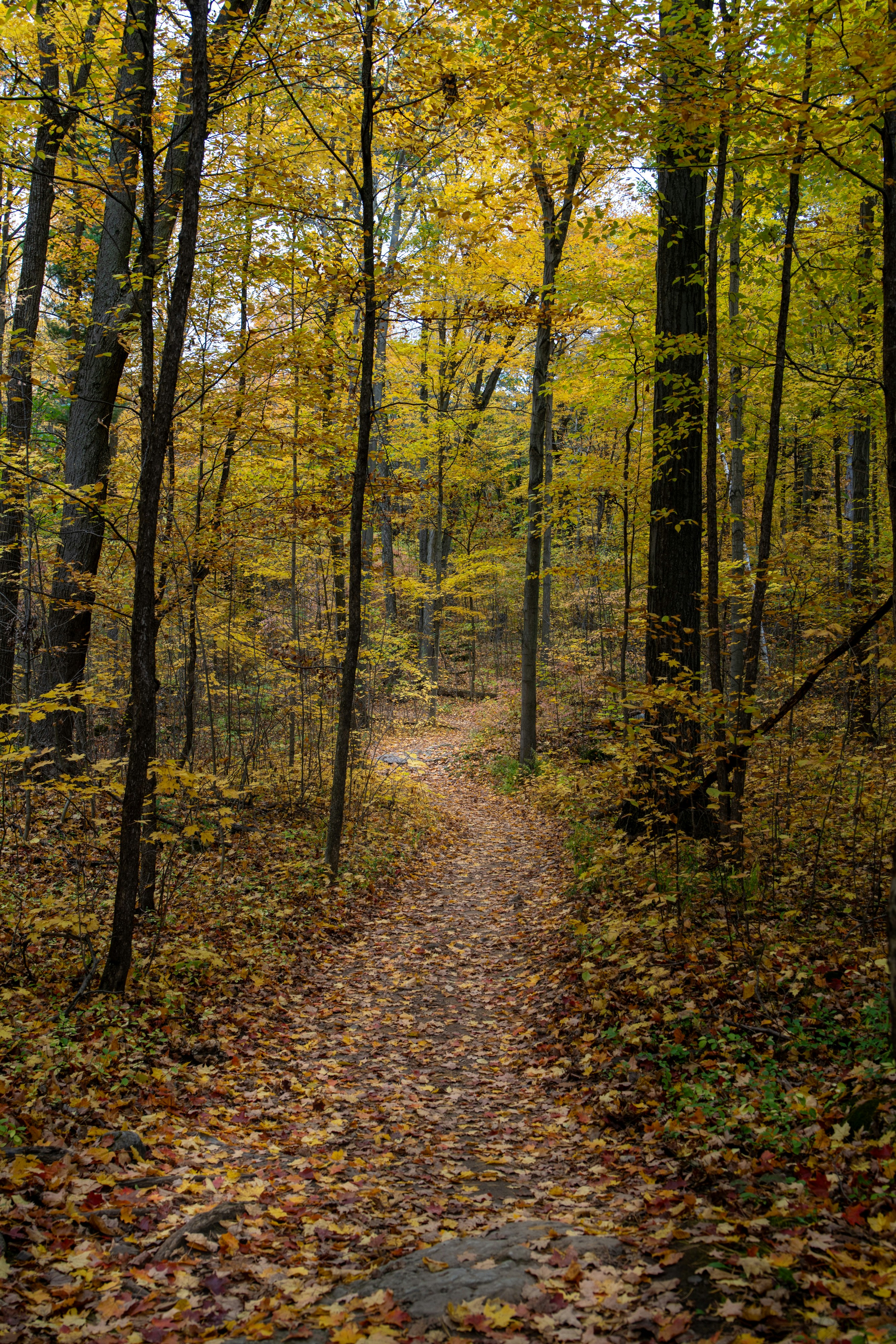 Photo by photos_by_ajay