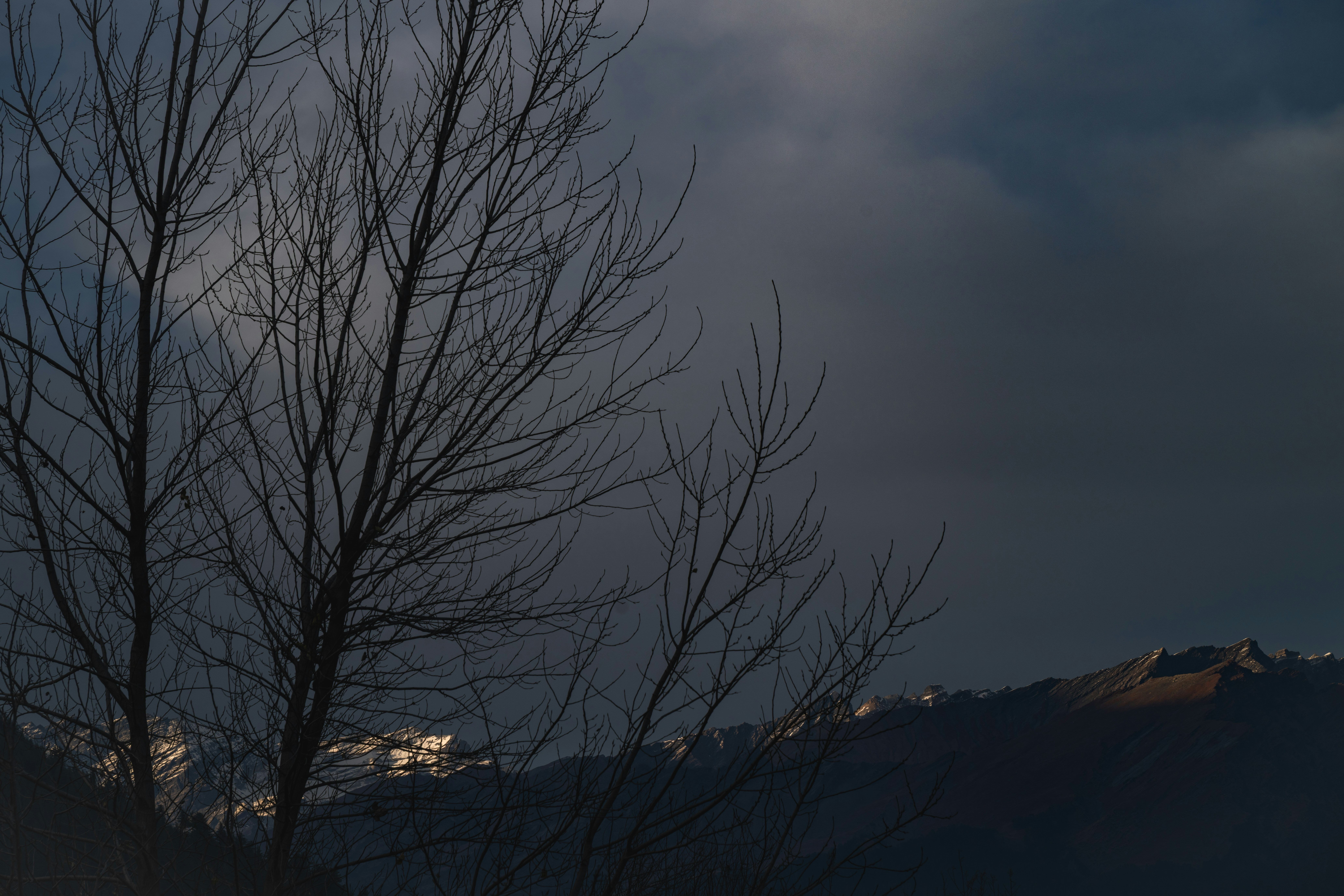 Kahle Äste vor stürmischem Himmel und Bergen.