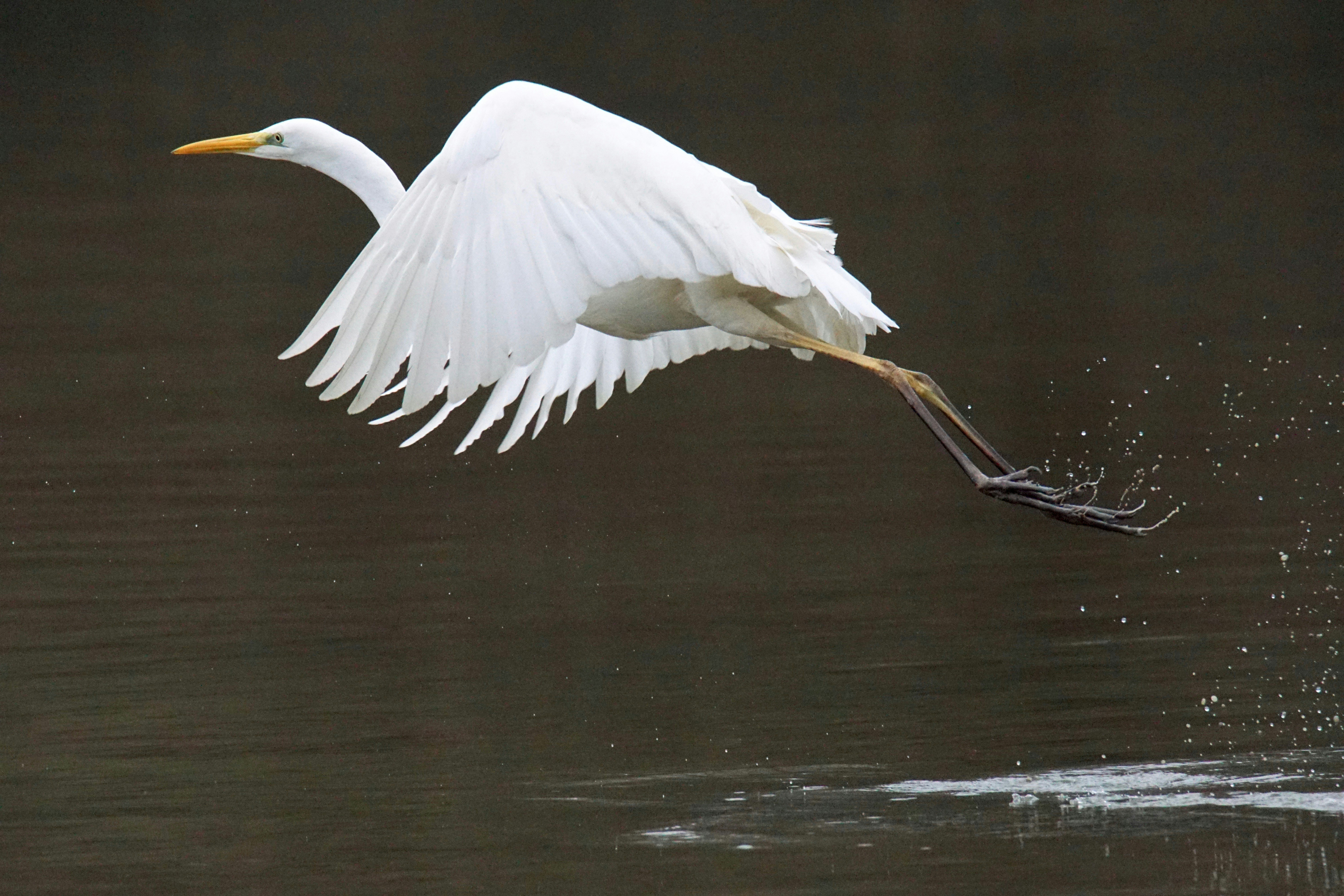 Photo by walterbrunnerfotos