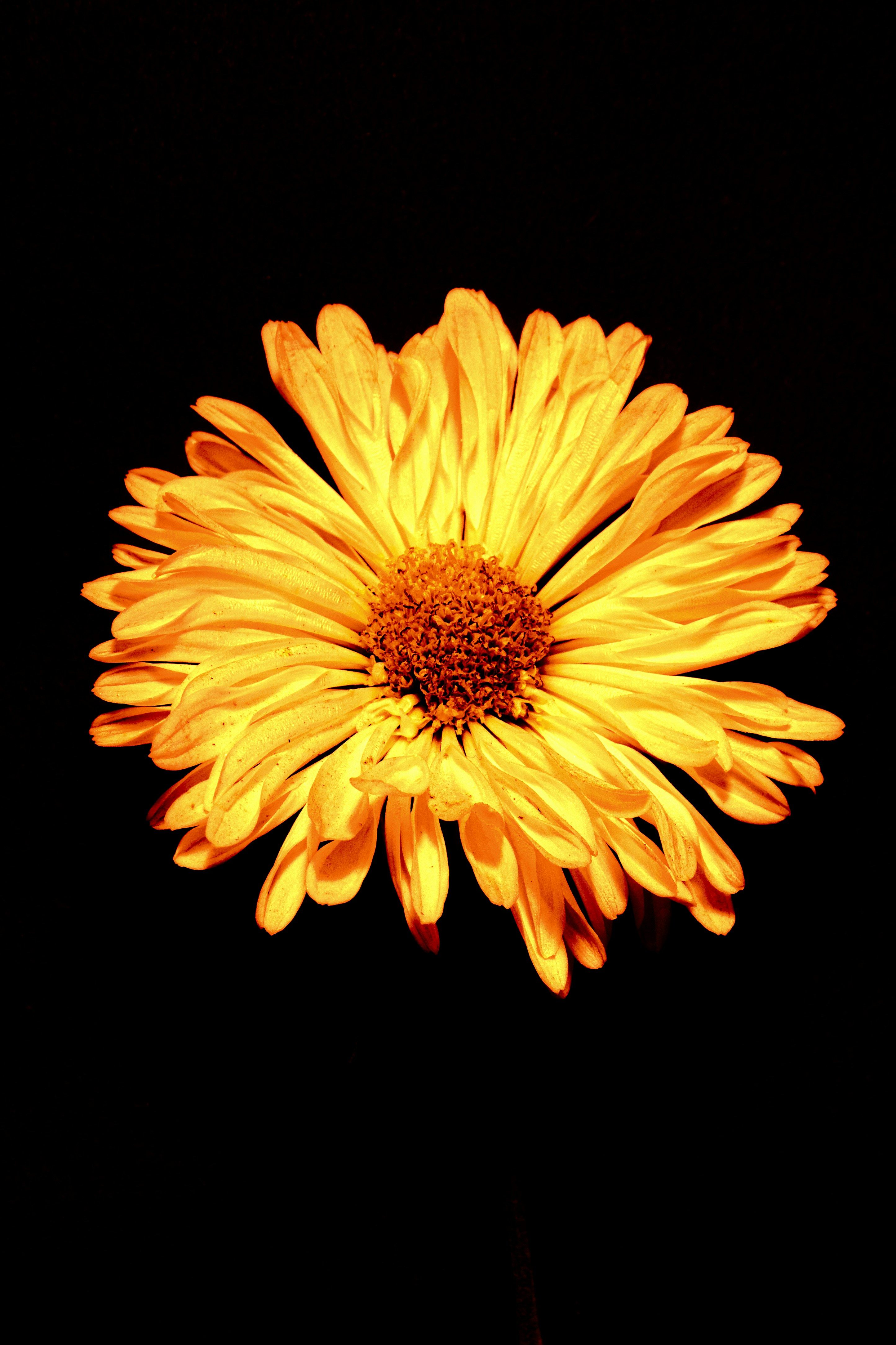 Photo by harshitphotography