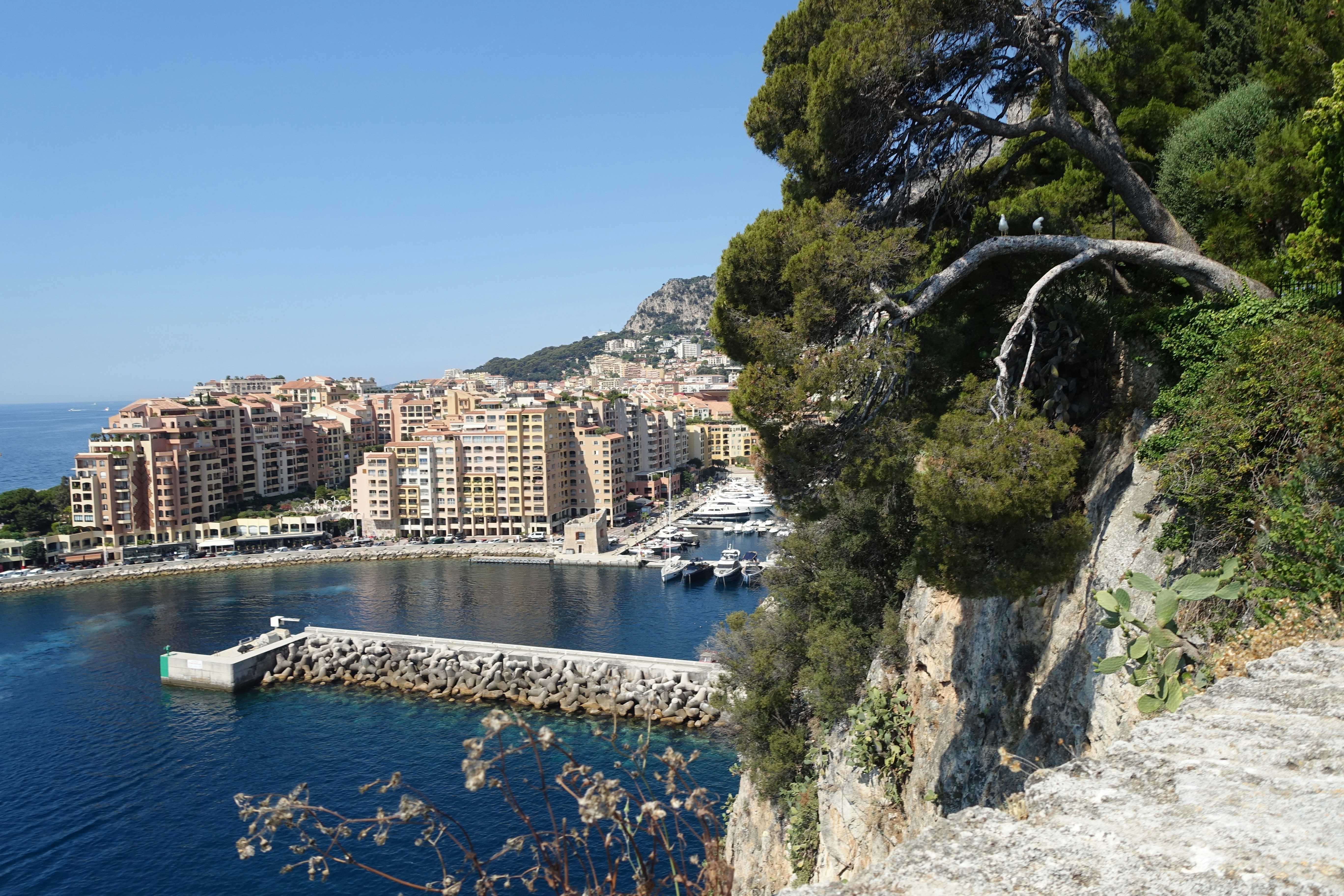 Coastal city with harbor and buildings on hillside.