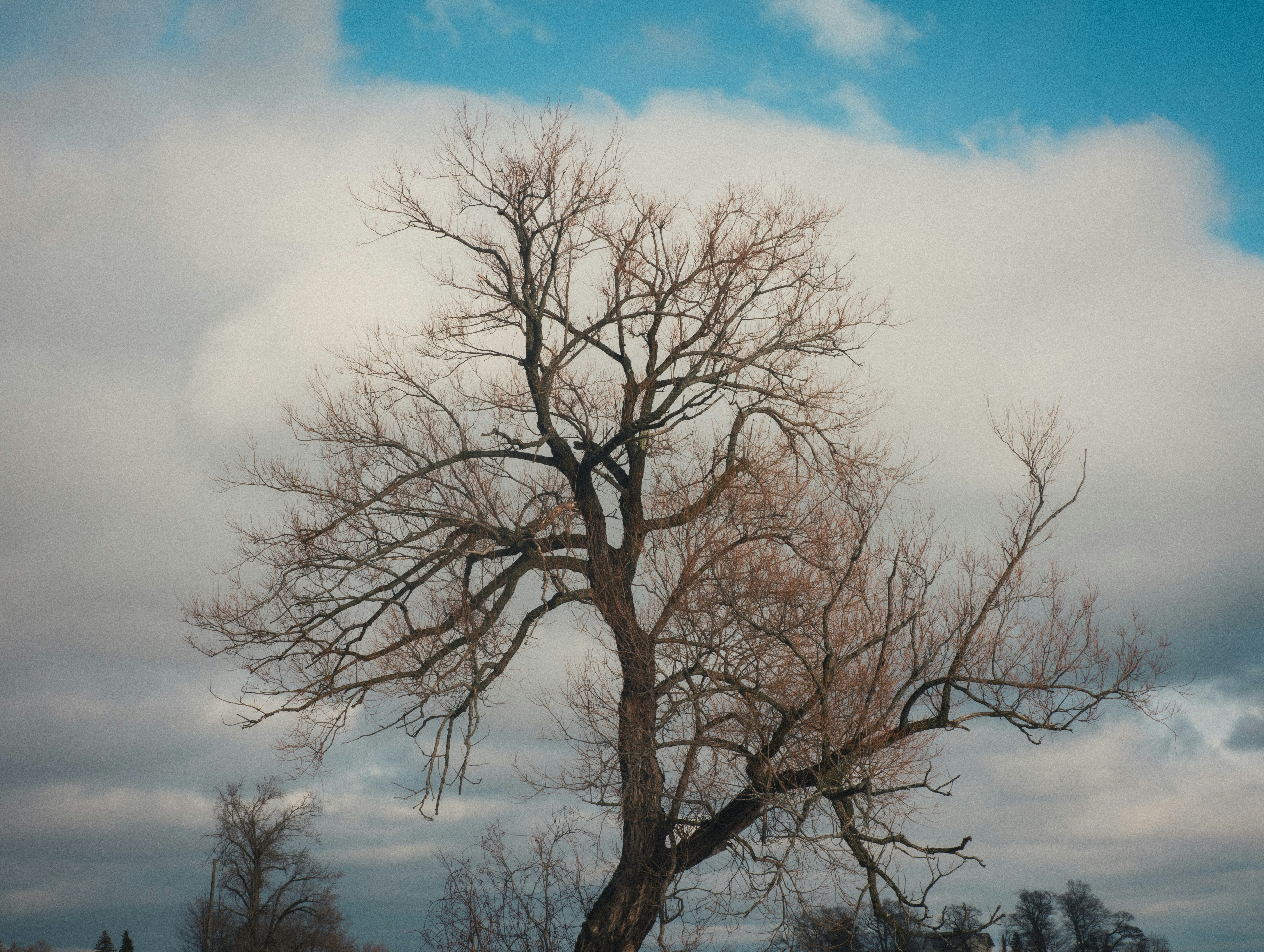 Photo by hashcode_error