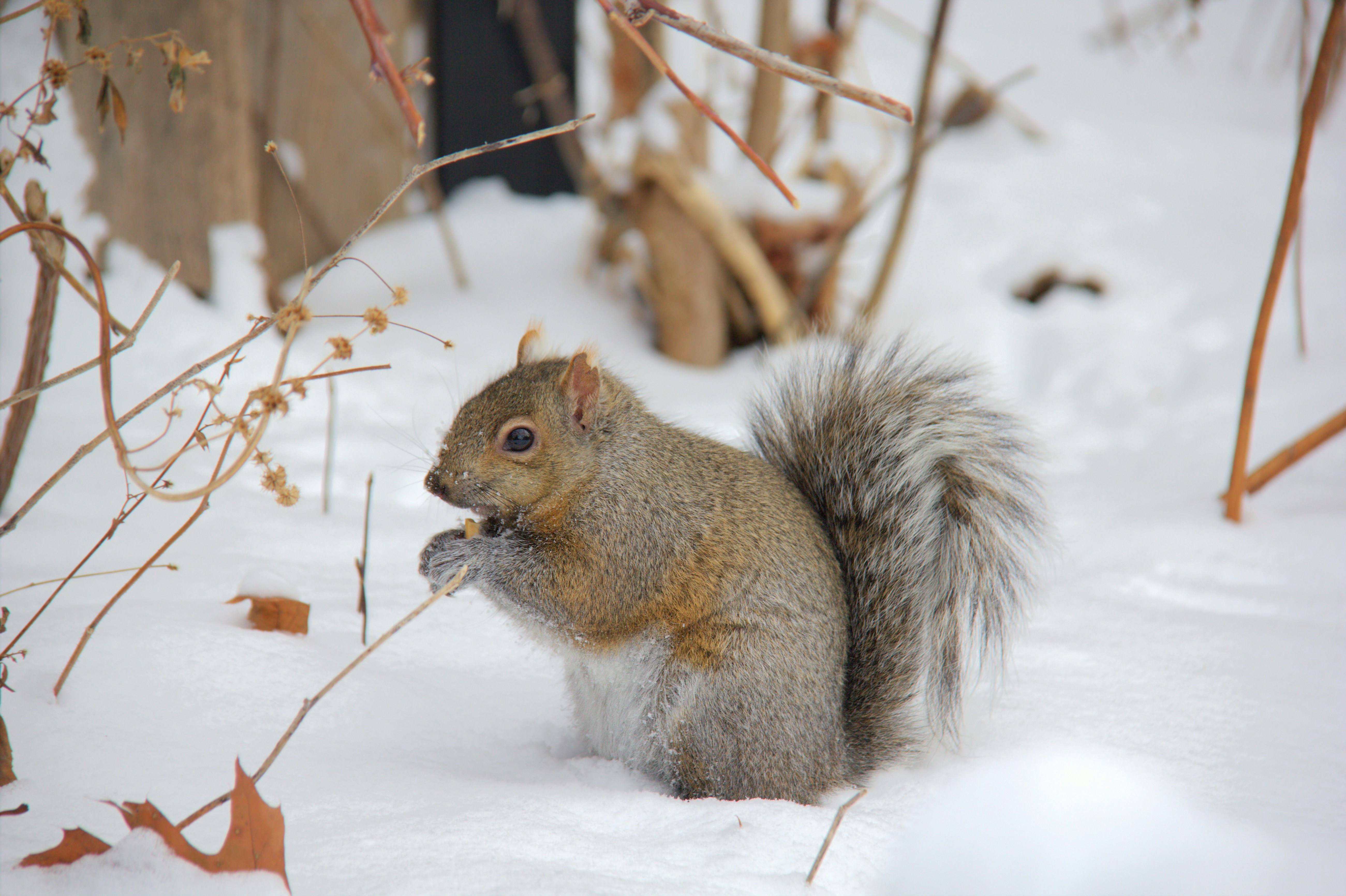 Photo by romeo_golf_oscar