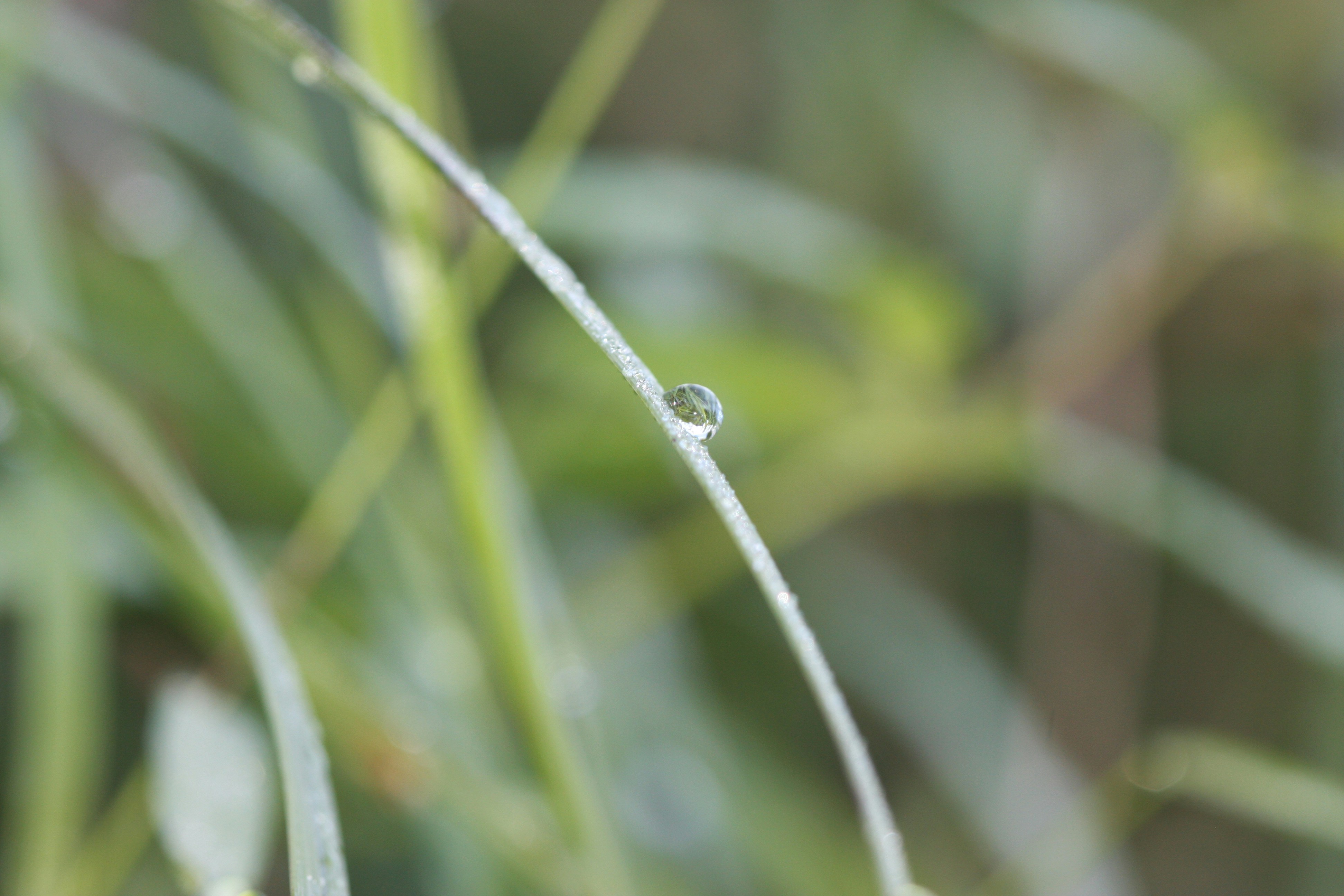 Photo by suyashbatra