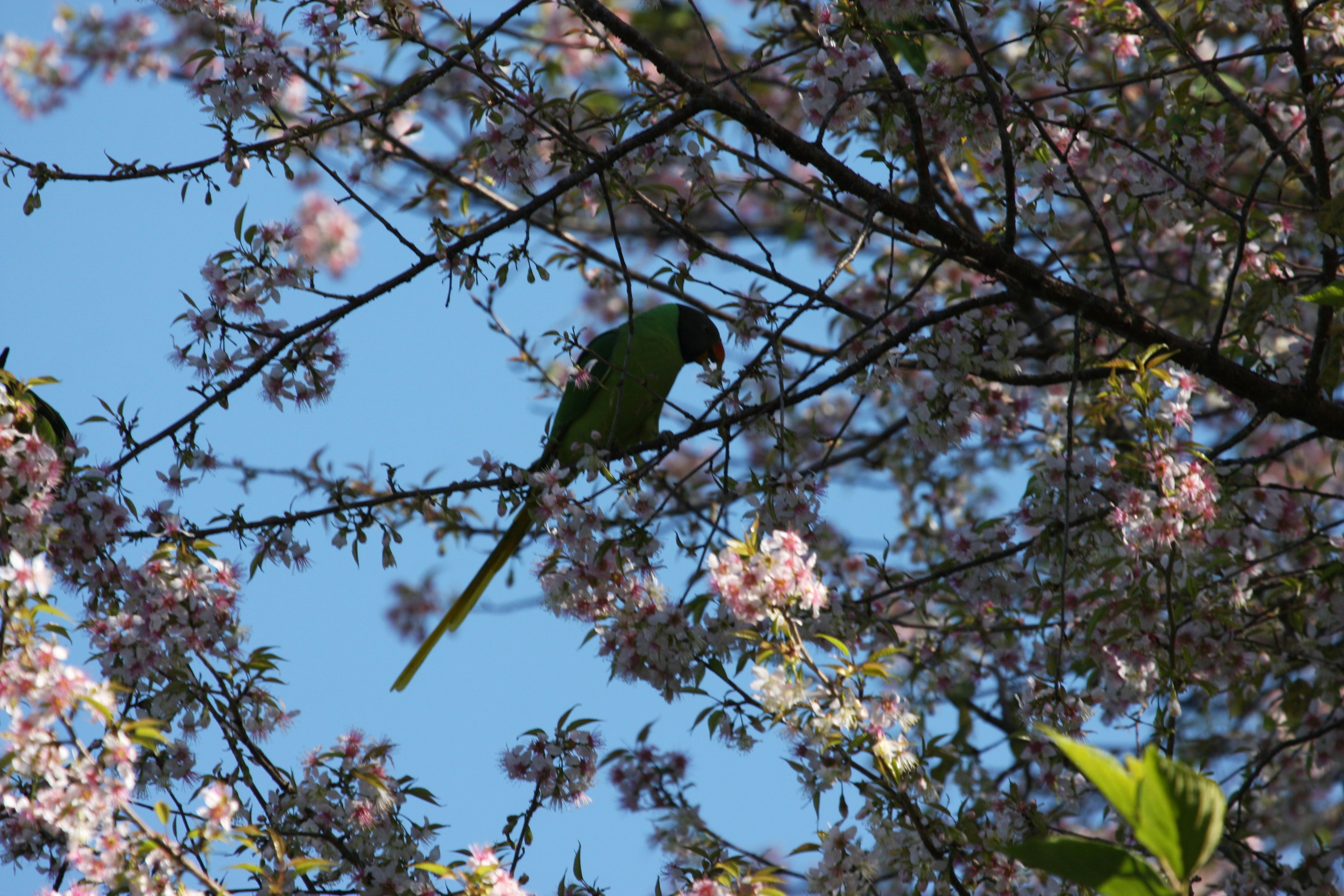 Photo by suyashbatra