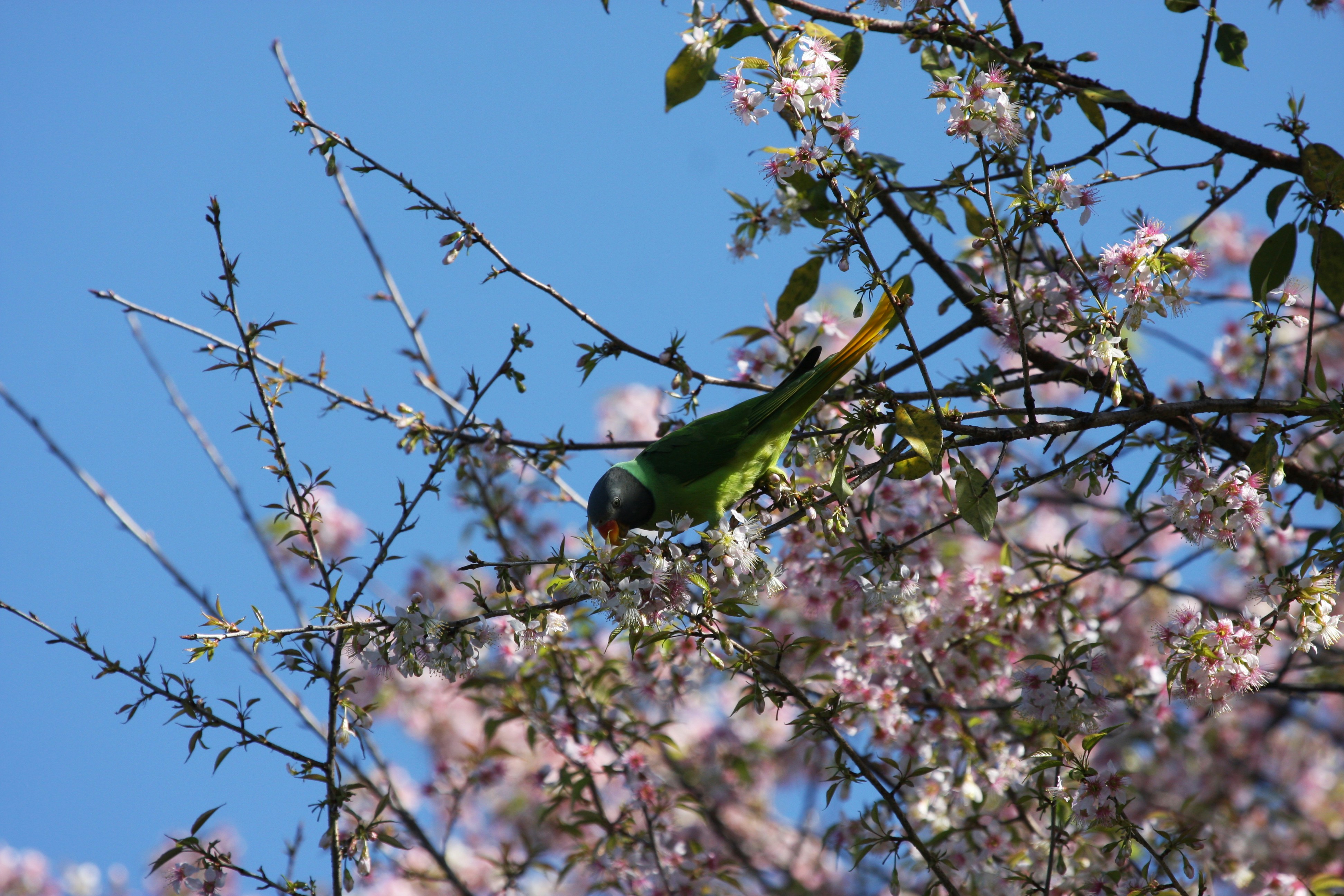 Photo by suyashbatra