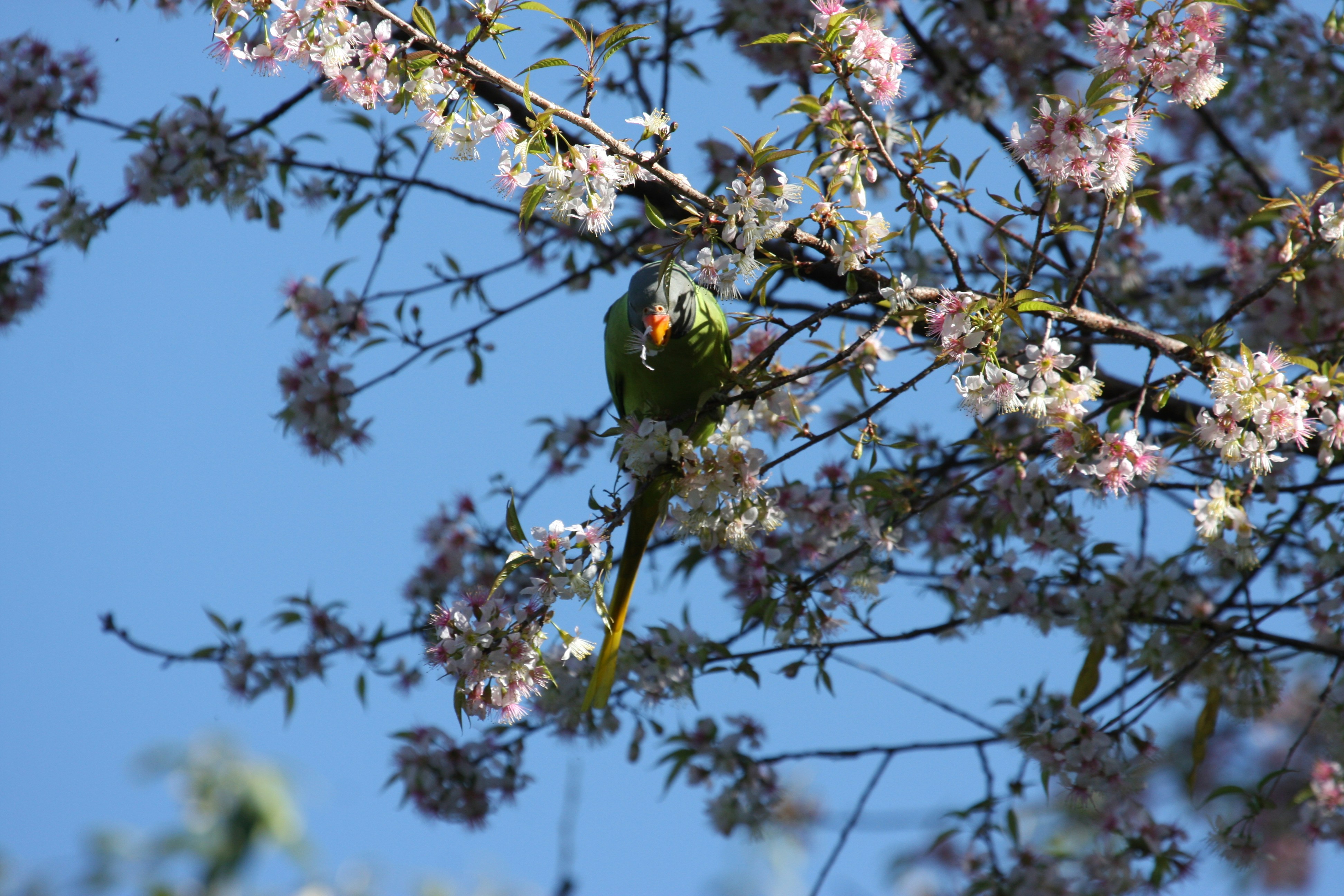 Photo by suyashbatra