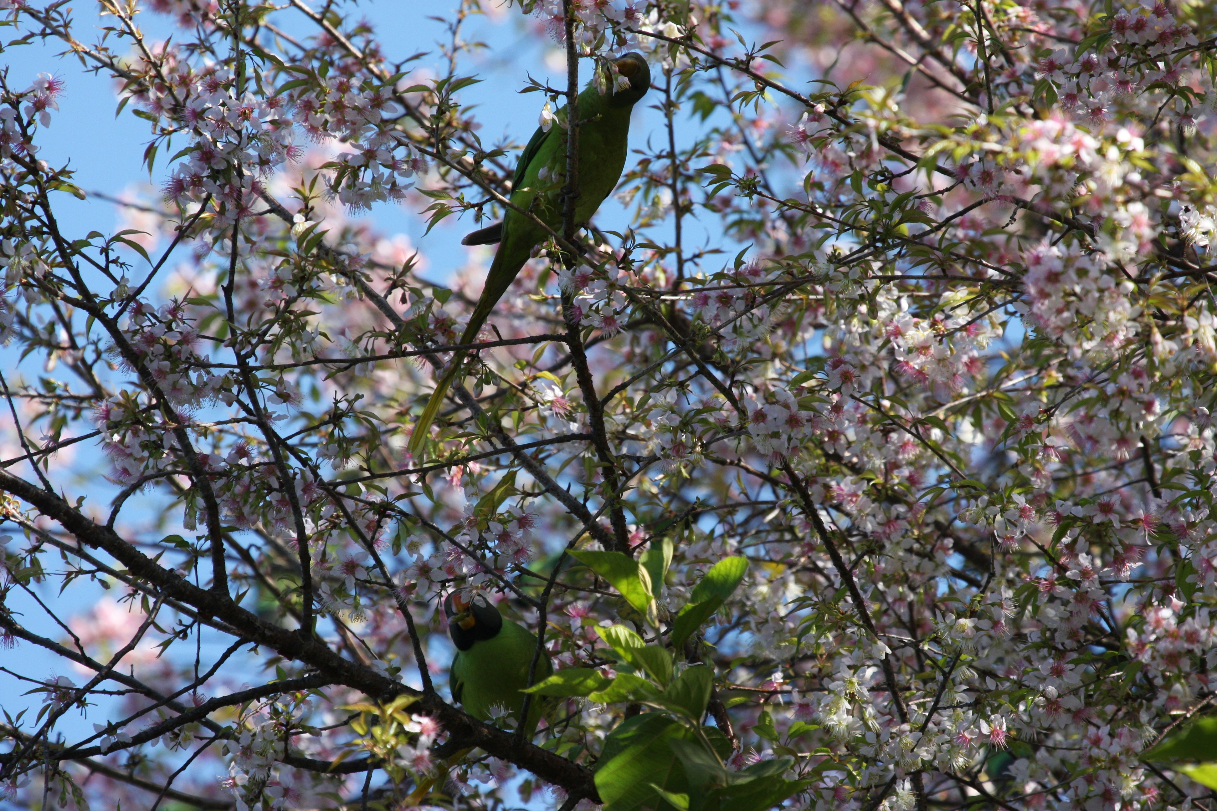 Photo by suyashbatra