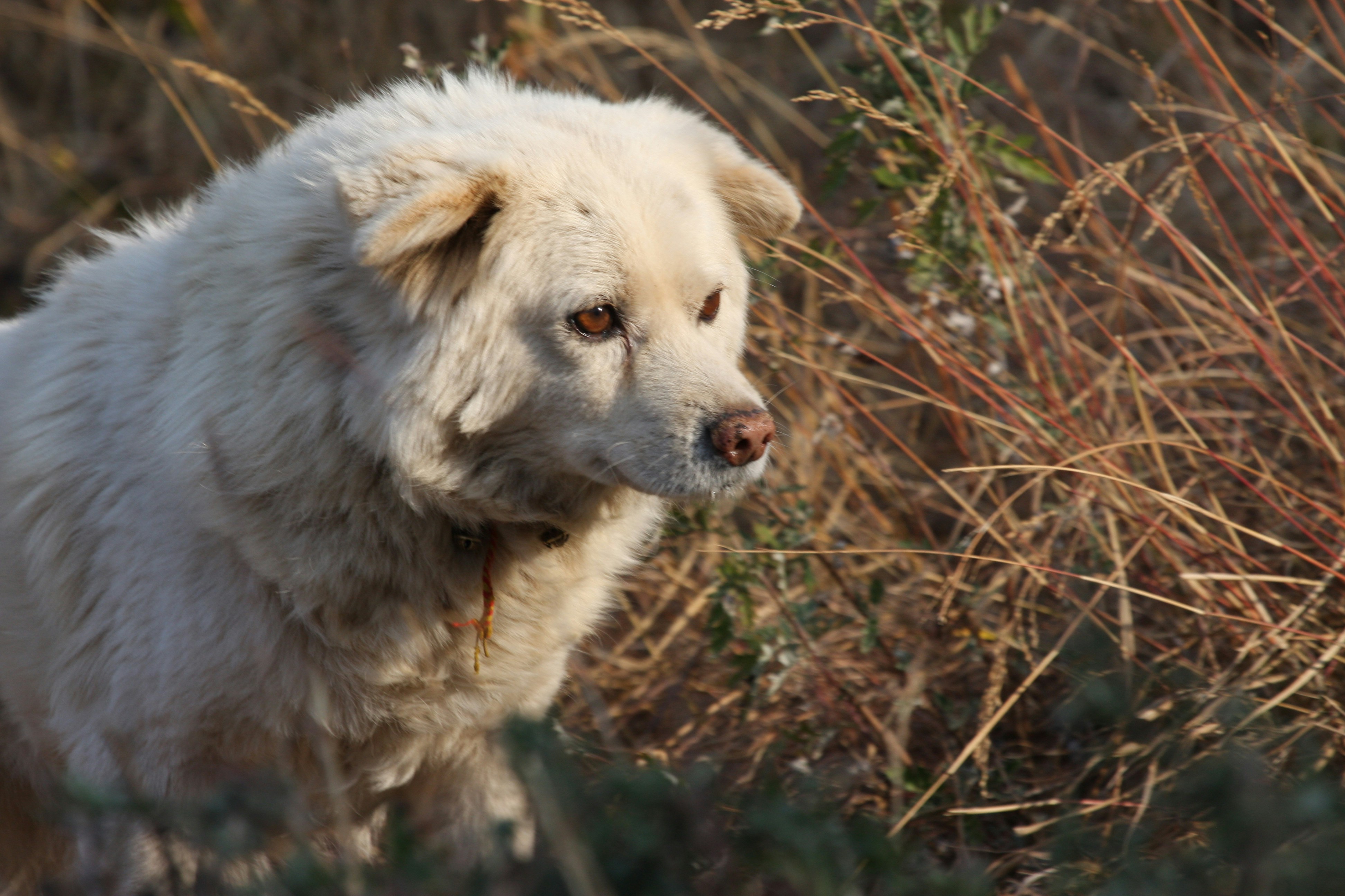 Photo by suyashbatra