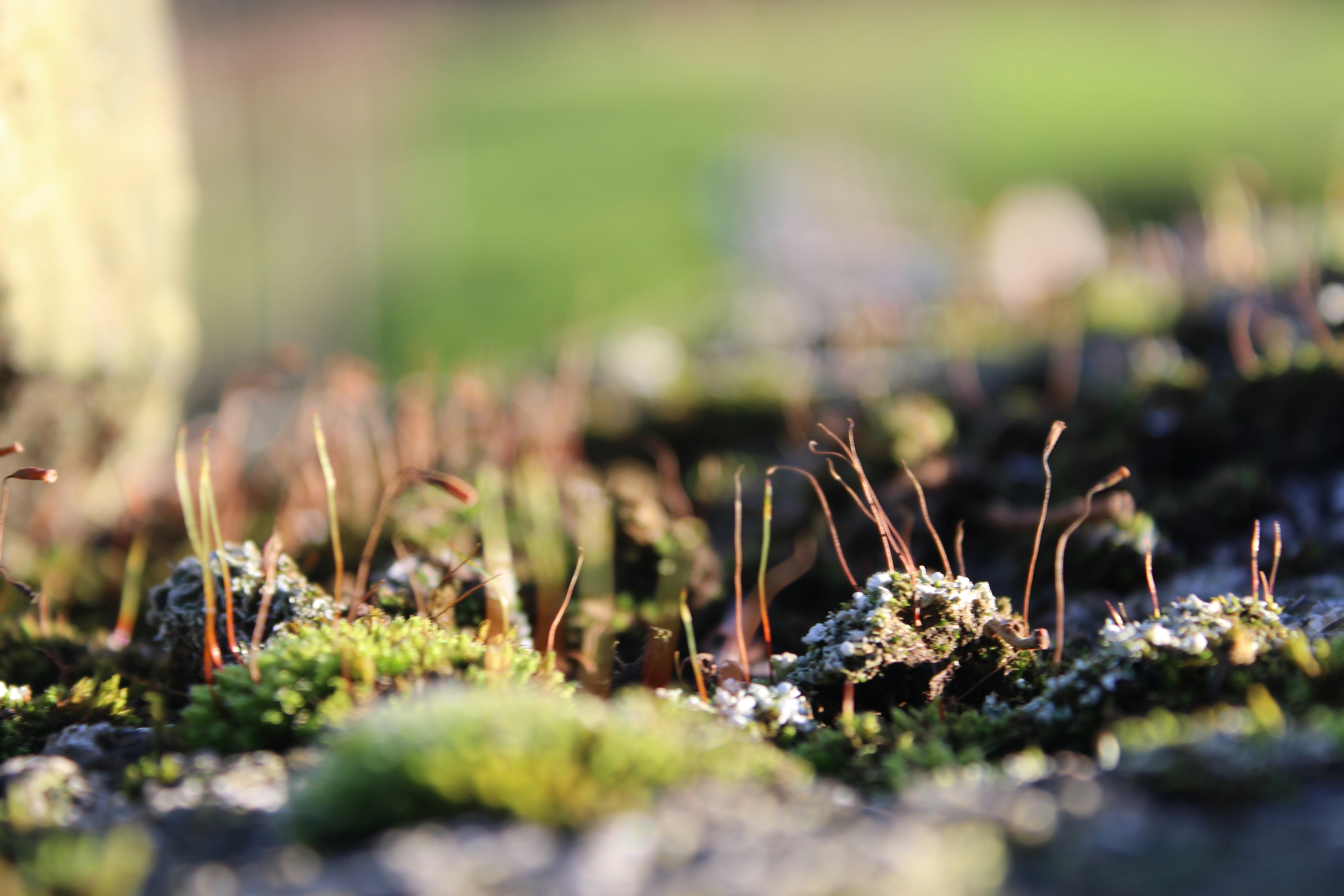 Photo by charlieohara