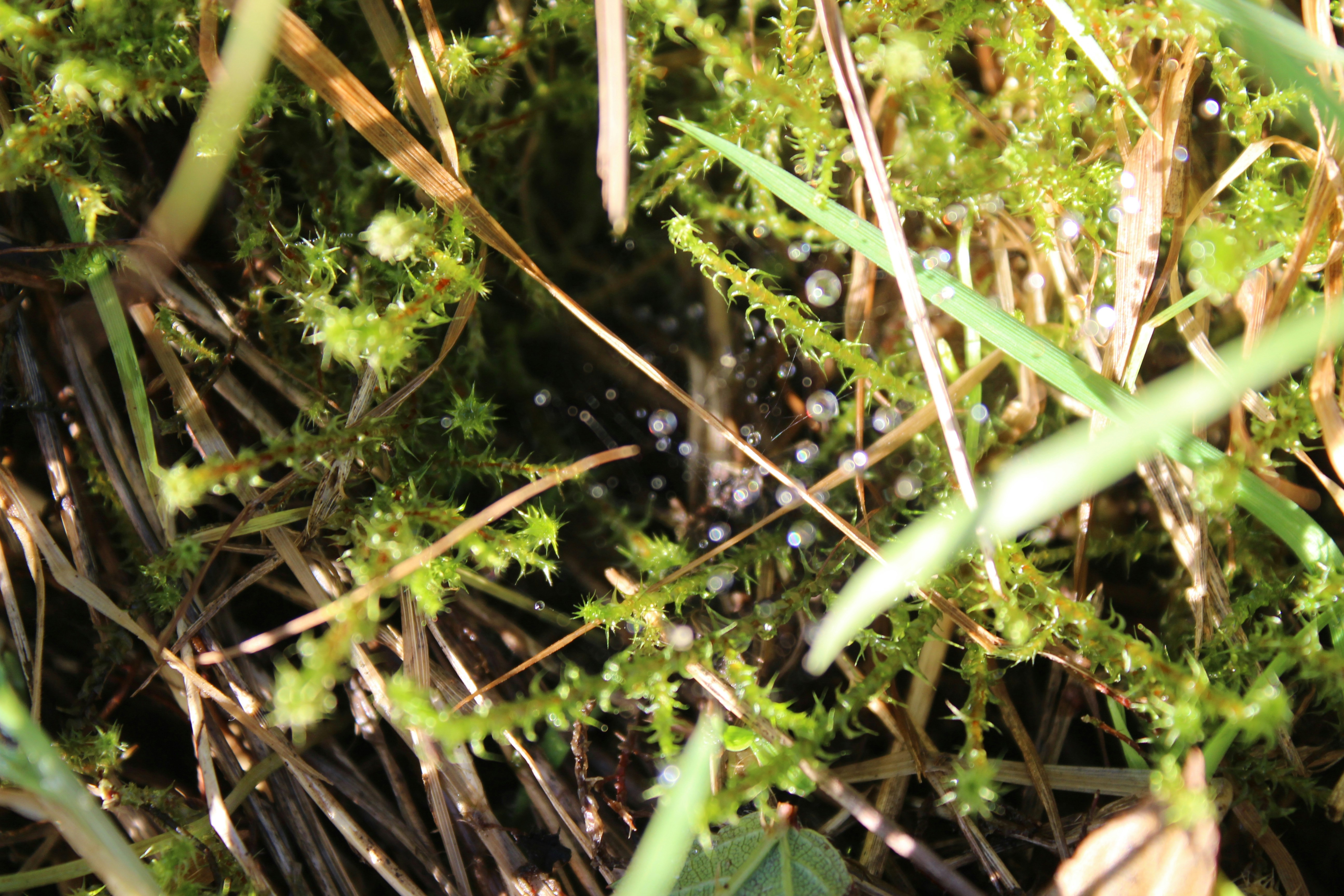 Photo by charlieohara