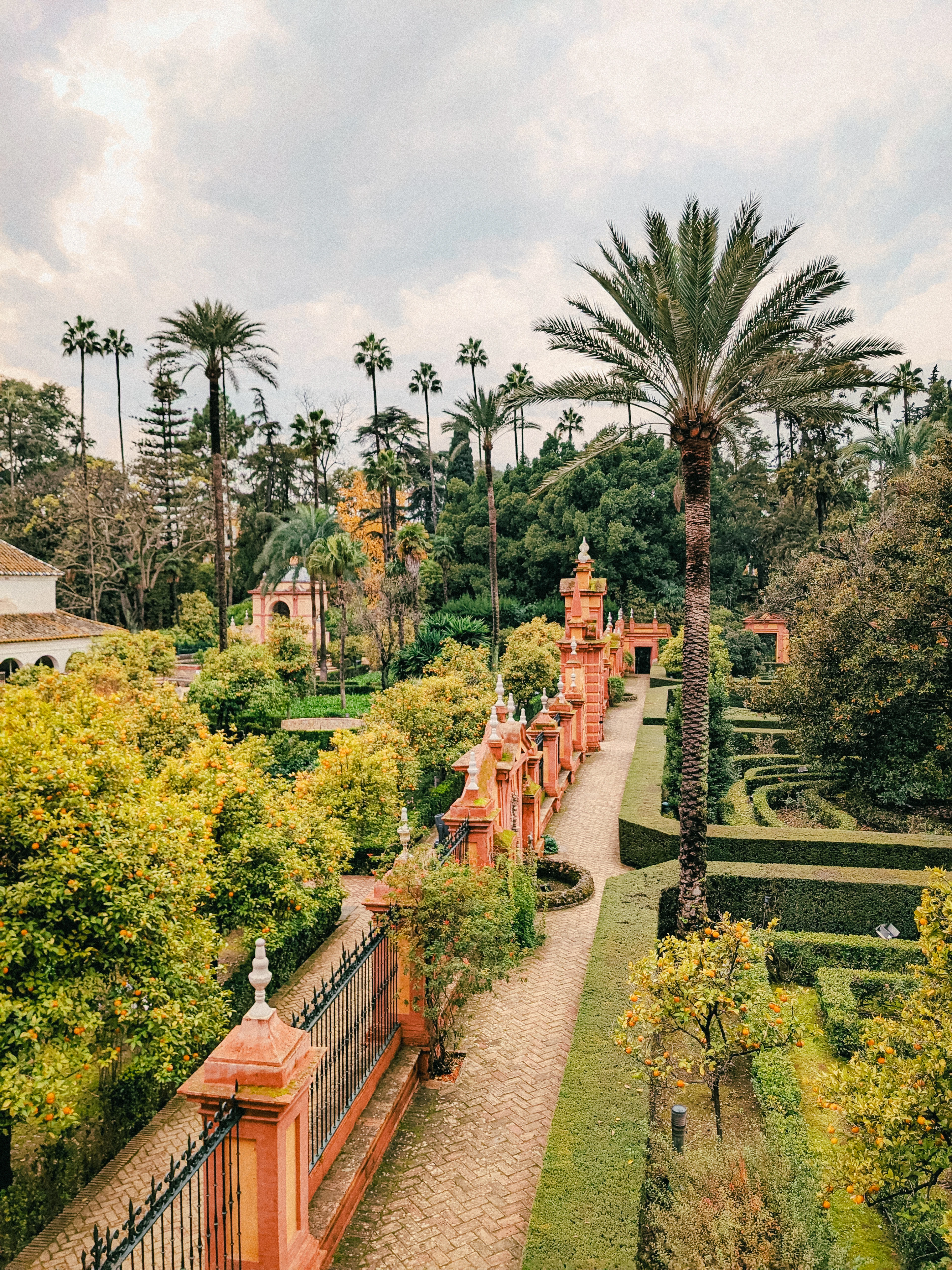 A garden walk in Seville's Real Alcazar seen from above: a terracotta balustrade with tiled pillars running beside clipped box parterres, orange trees heavy with fruit and tall date palms.