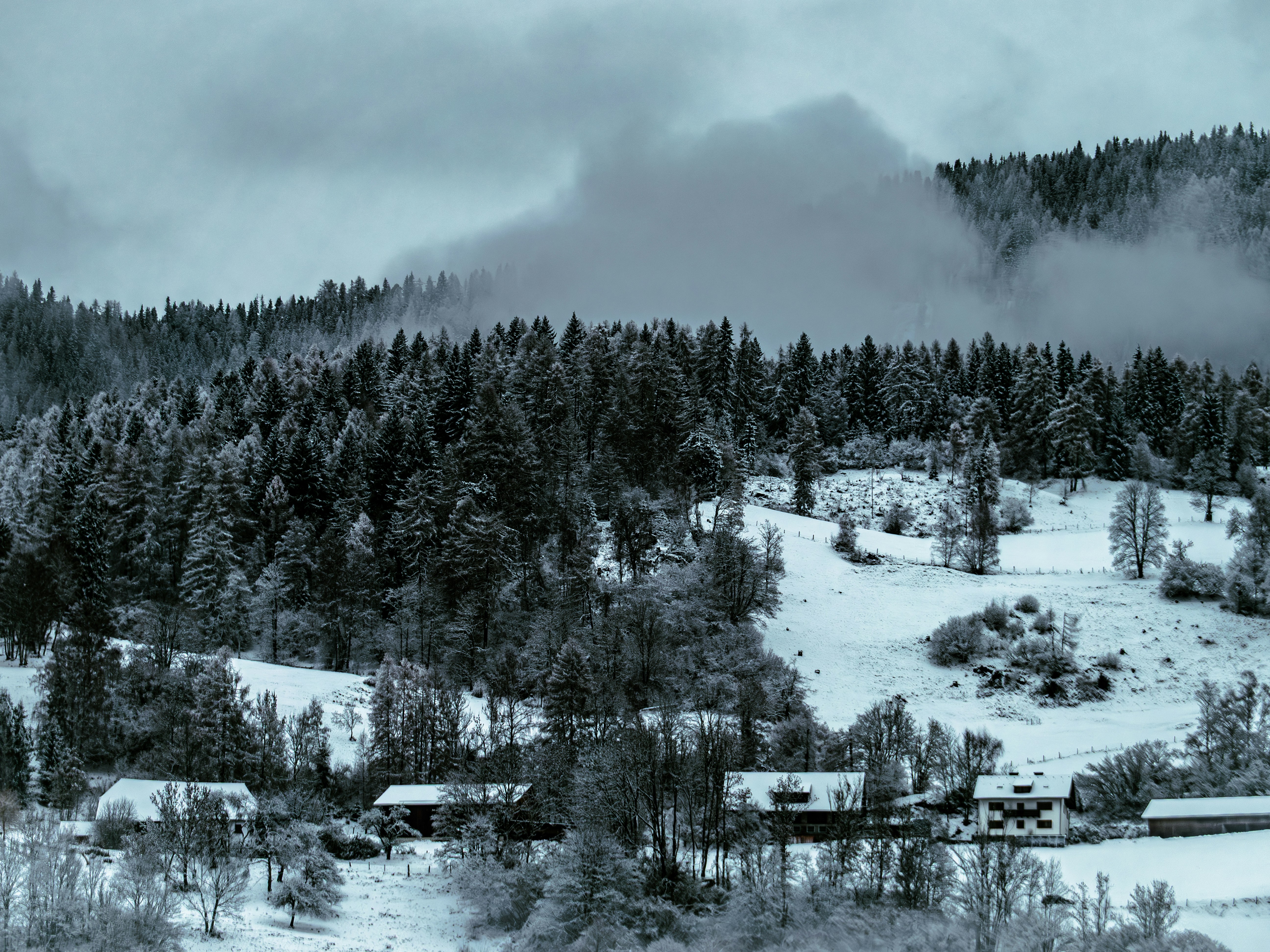 Snowy village nestled in a frosted forest landscape.