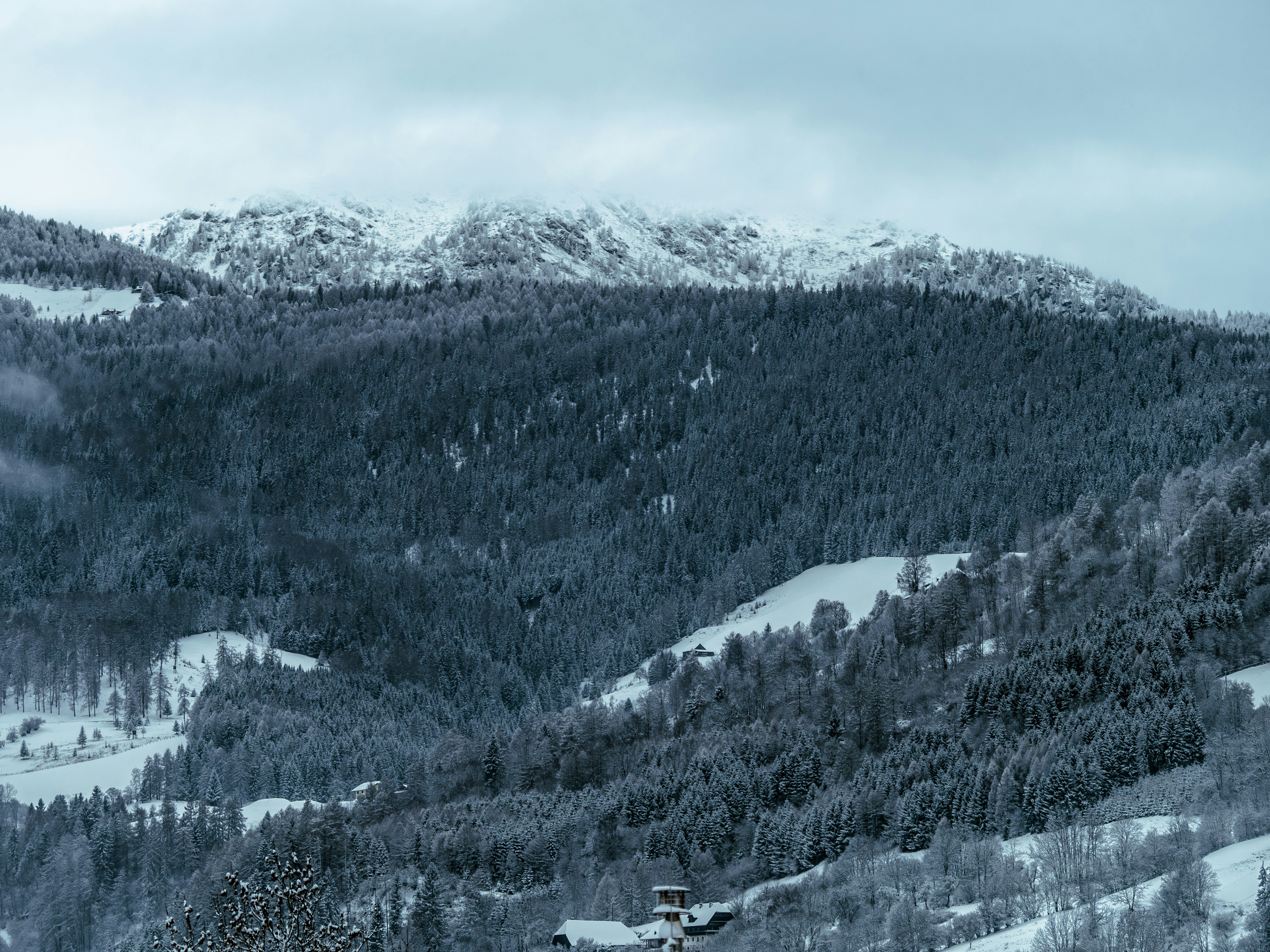 Snow-covered mountains and forest under a cloudy sky.