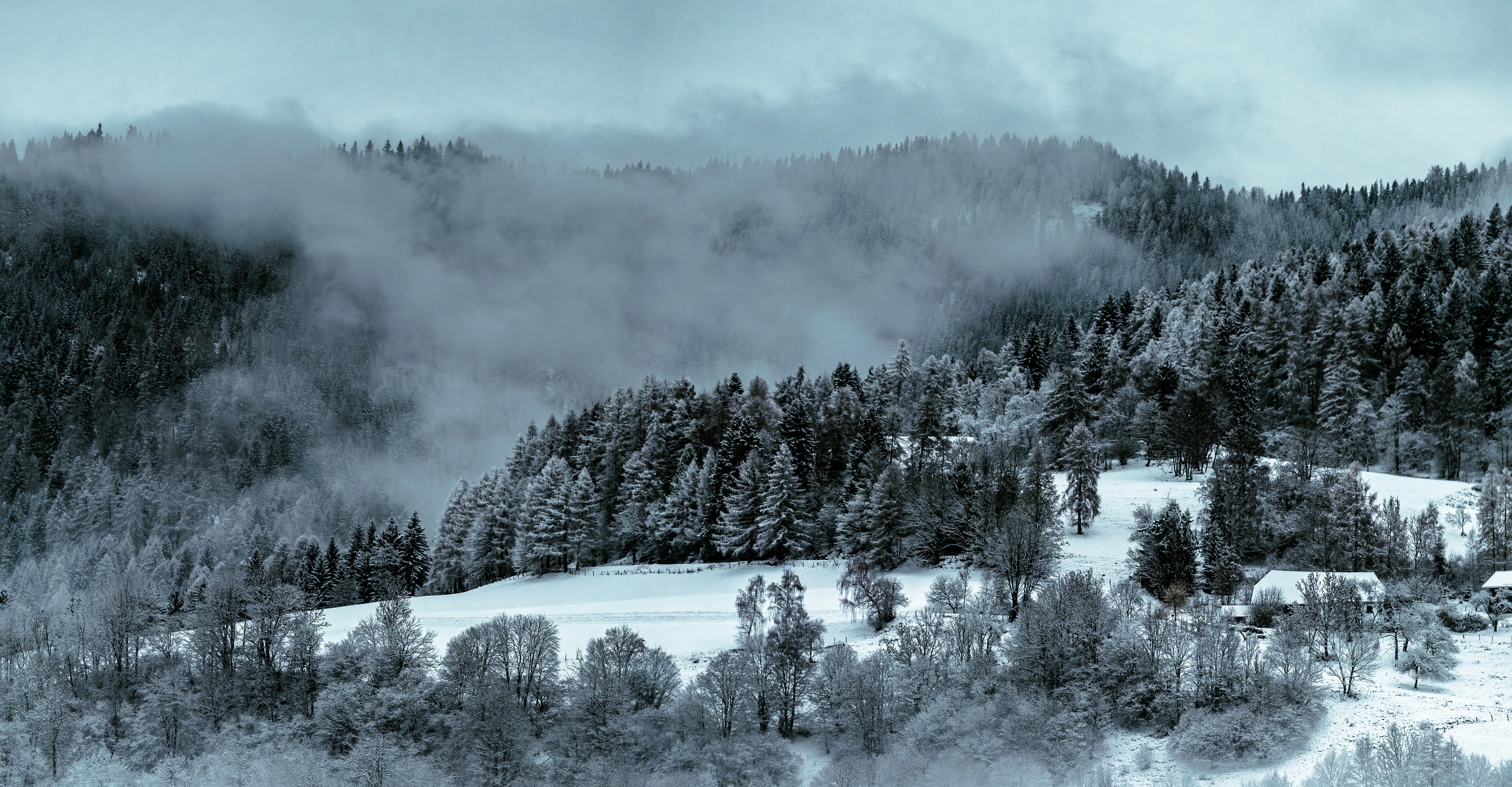 Snow-covered forest and hills with mist.