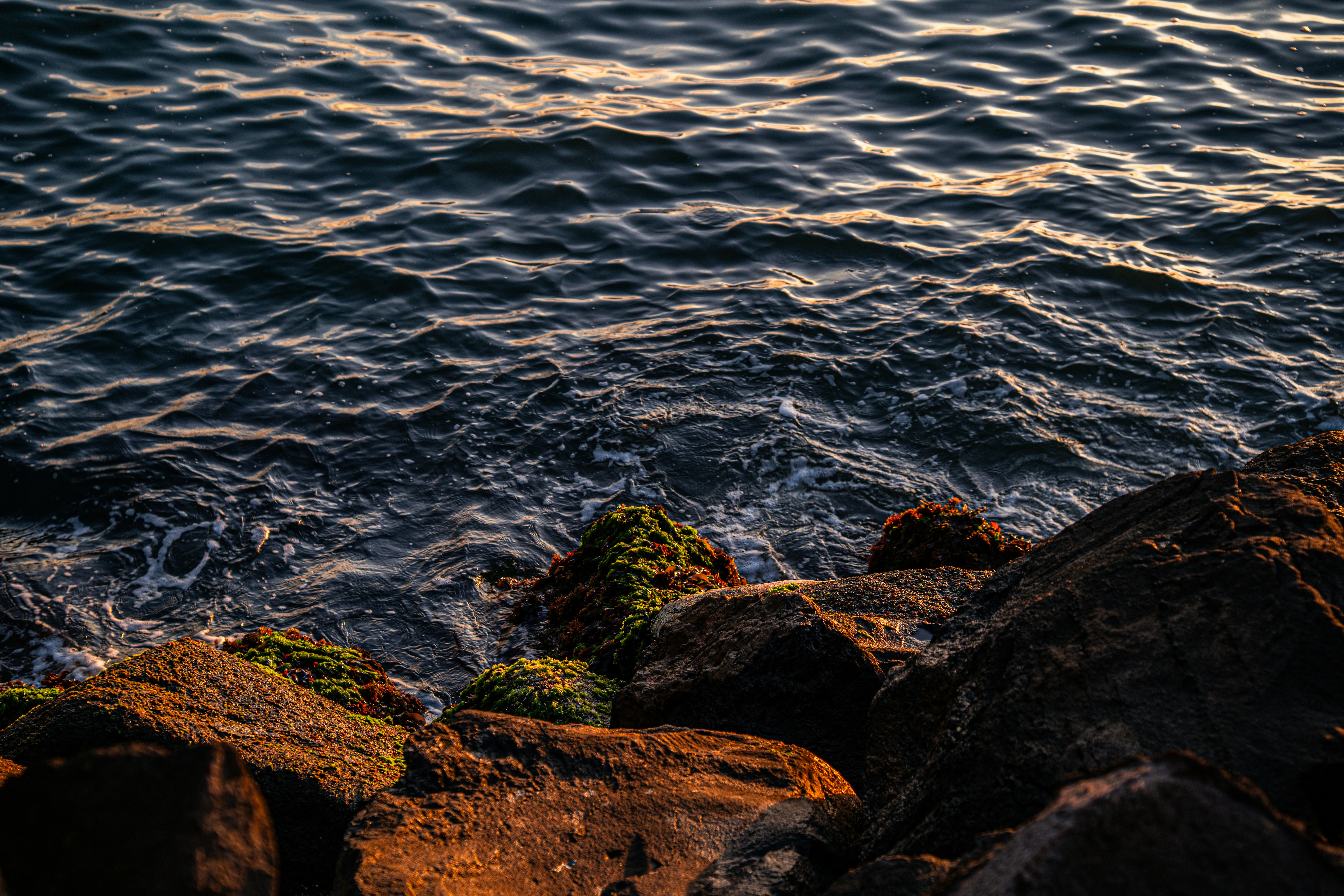 Photo by niko_nguyen_10