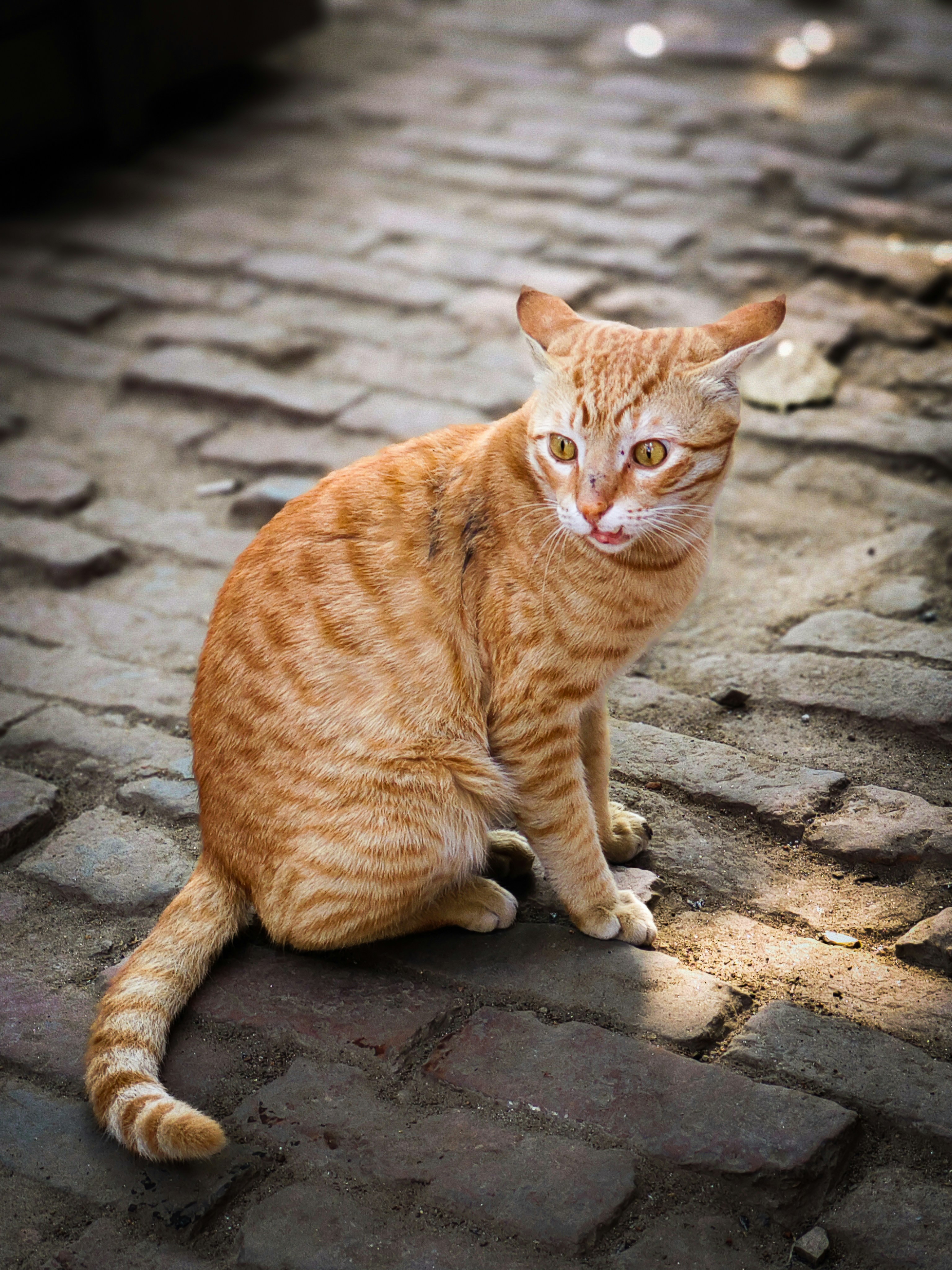 Photo by viewwithsky