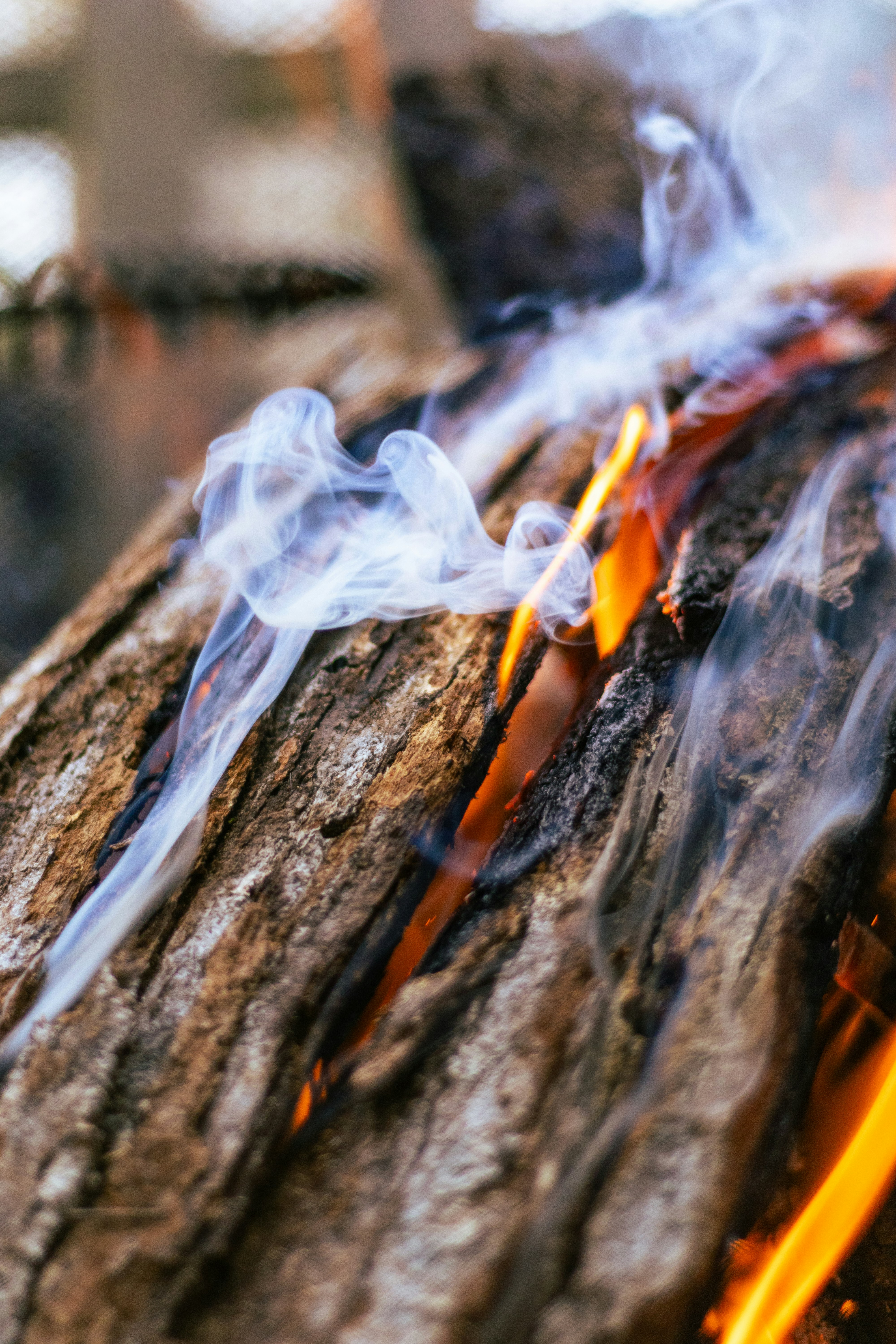 Feuer brennt auf einem rauen Baumstamm, während Rauch aufsteigt.