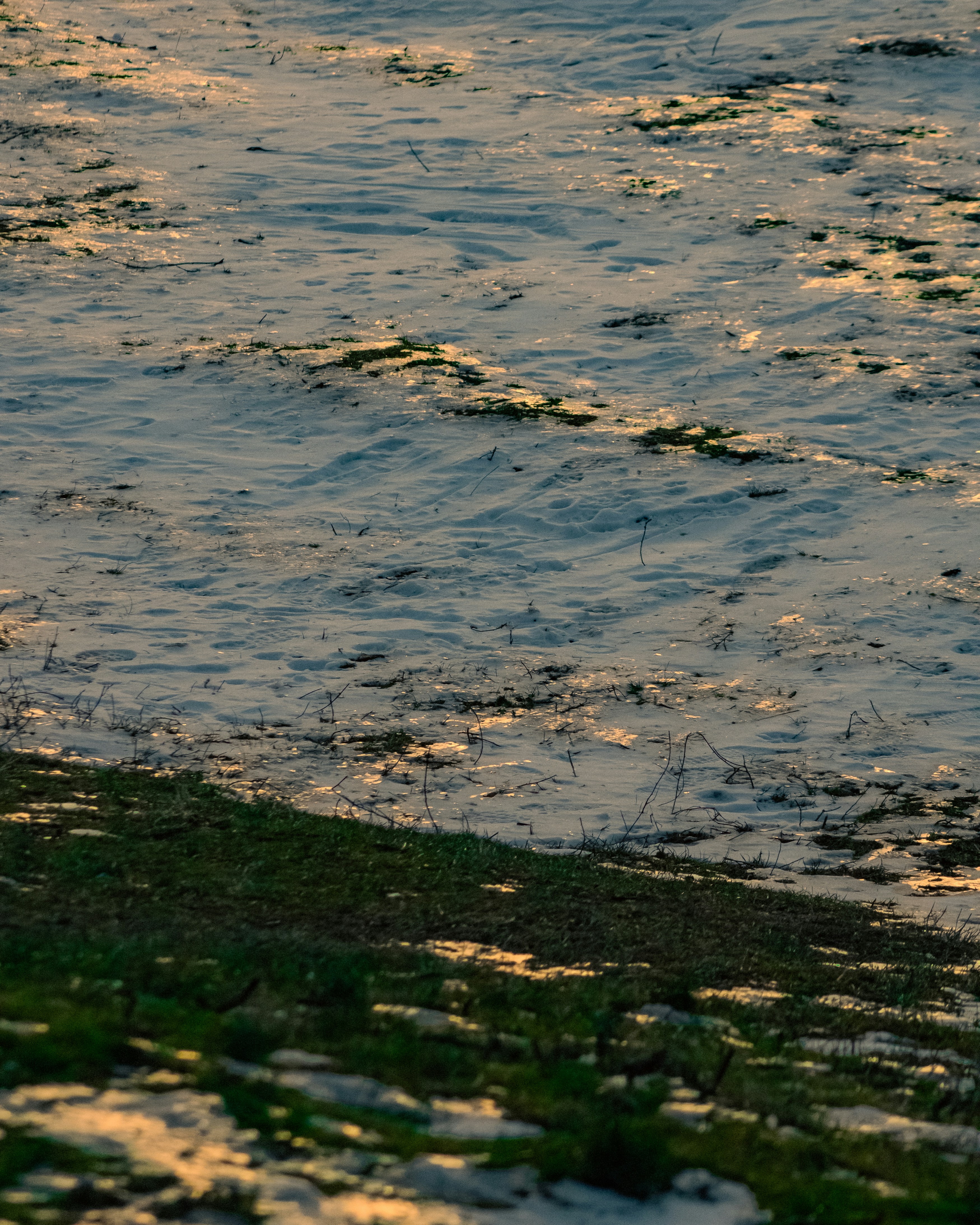 Photo by kolesnykyan