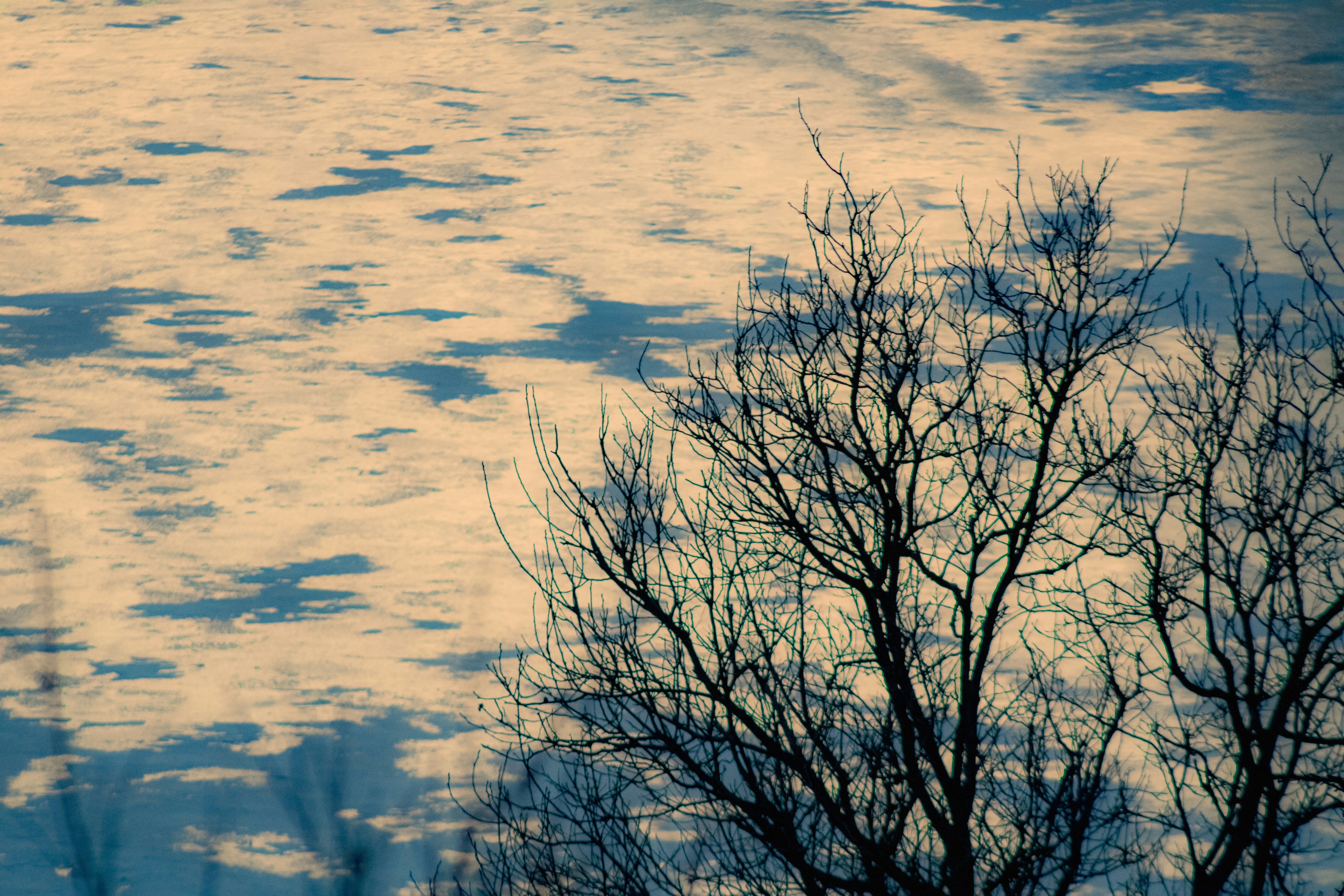 Photo by kolesnykyan