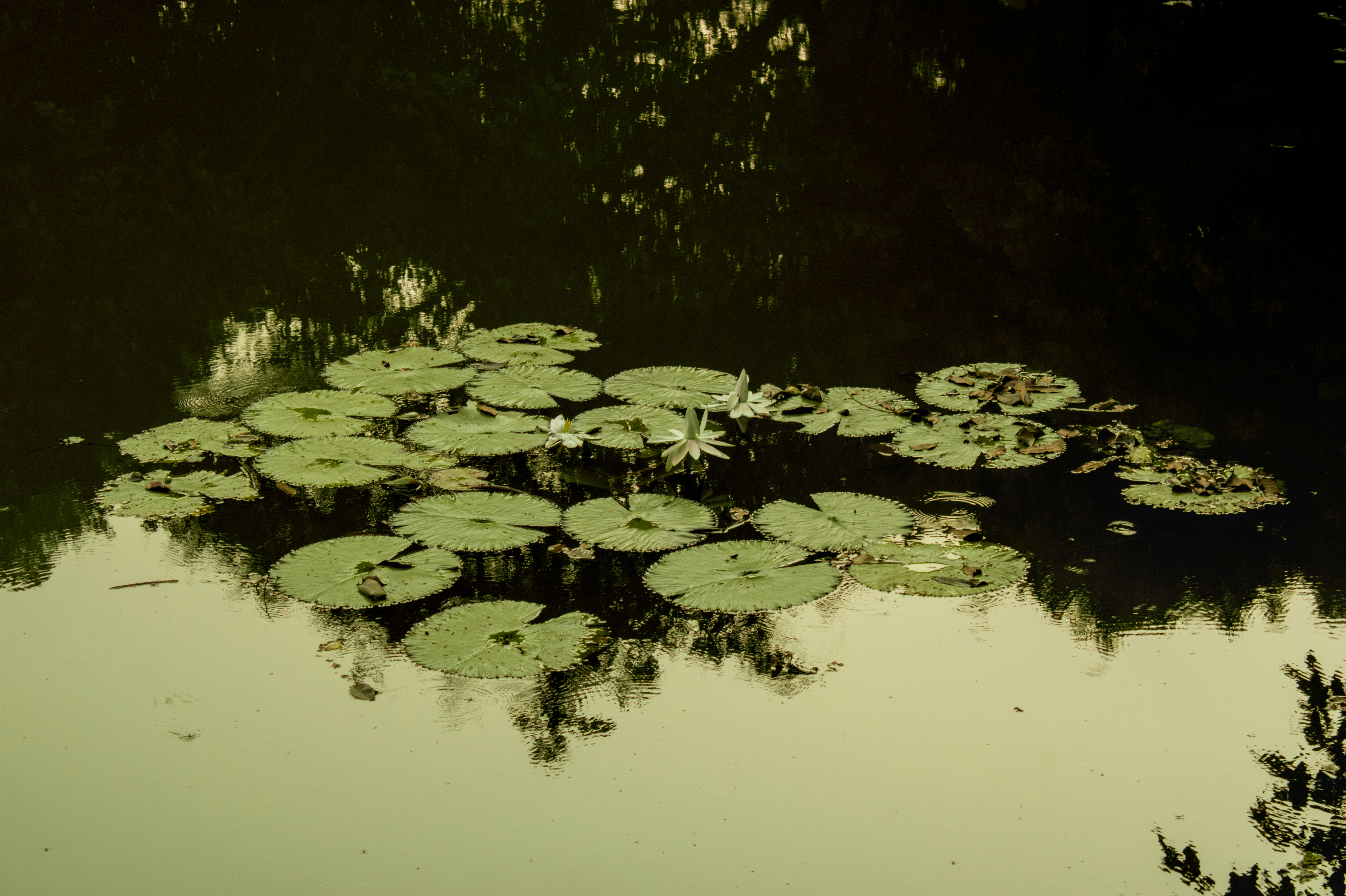 Photo by waterandfire863