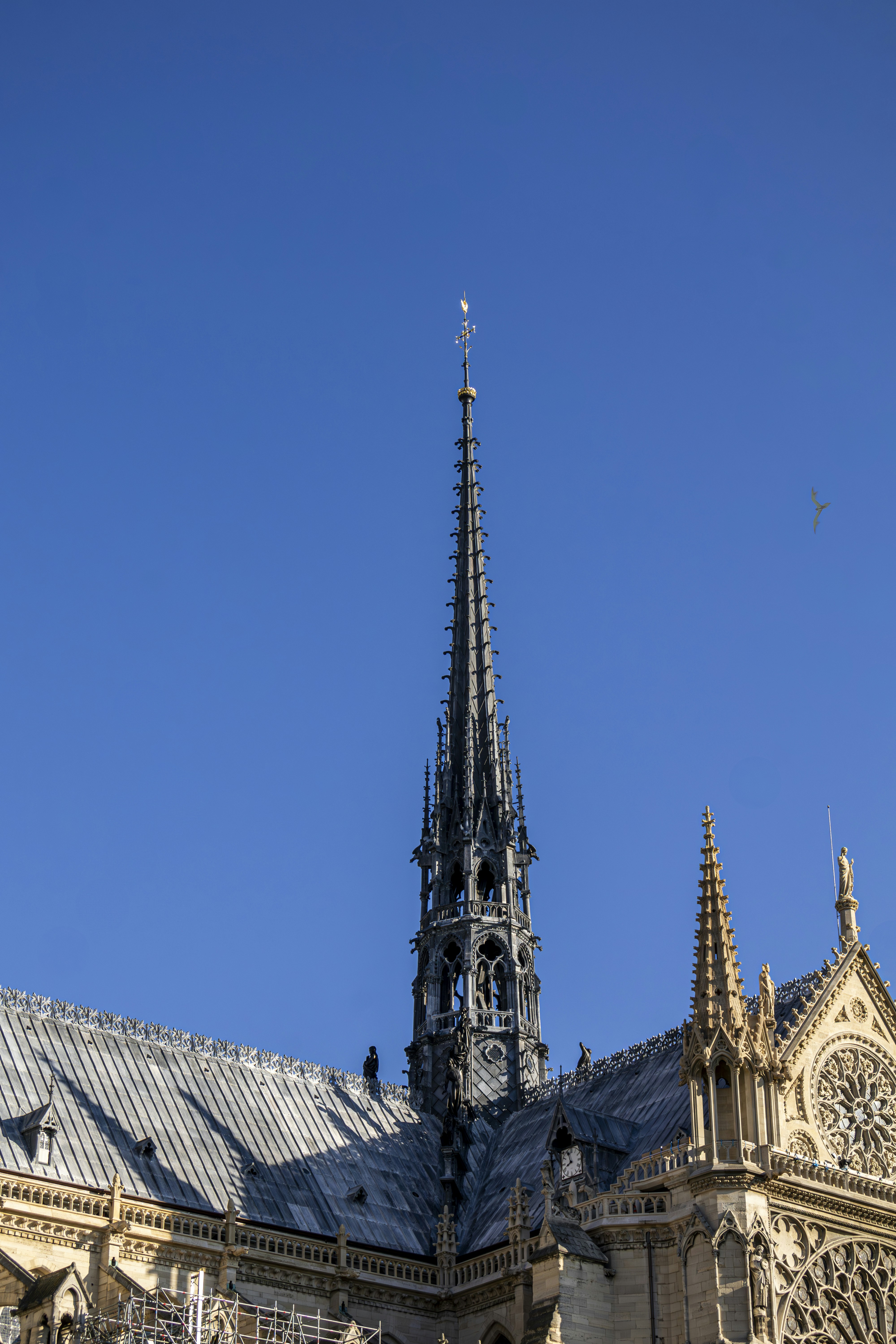 Photo by chionesfede