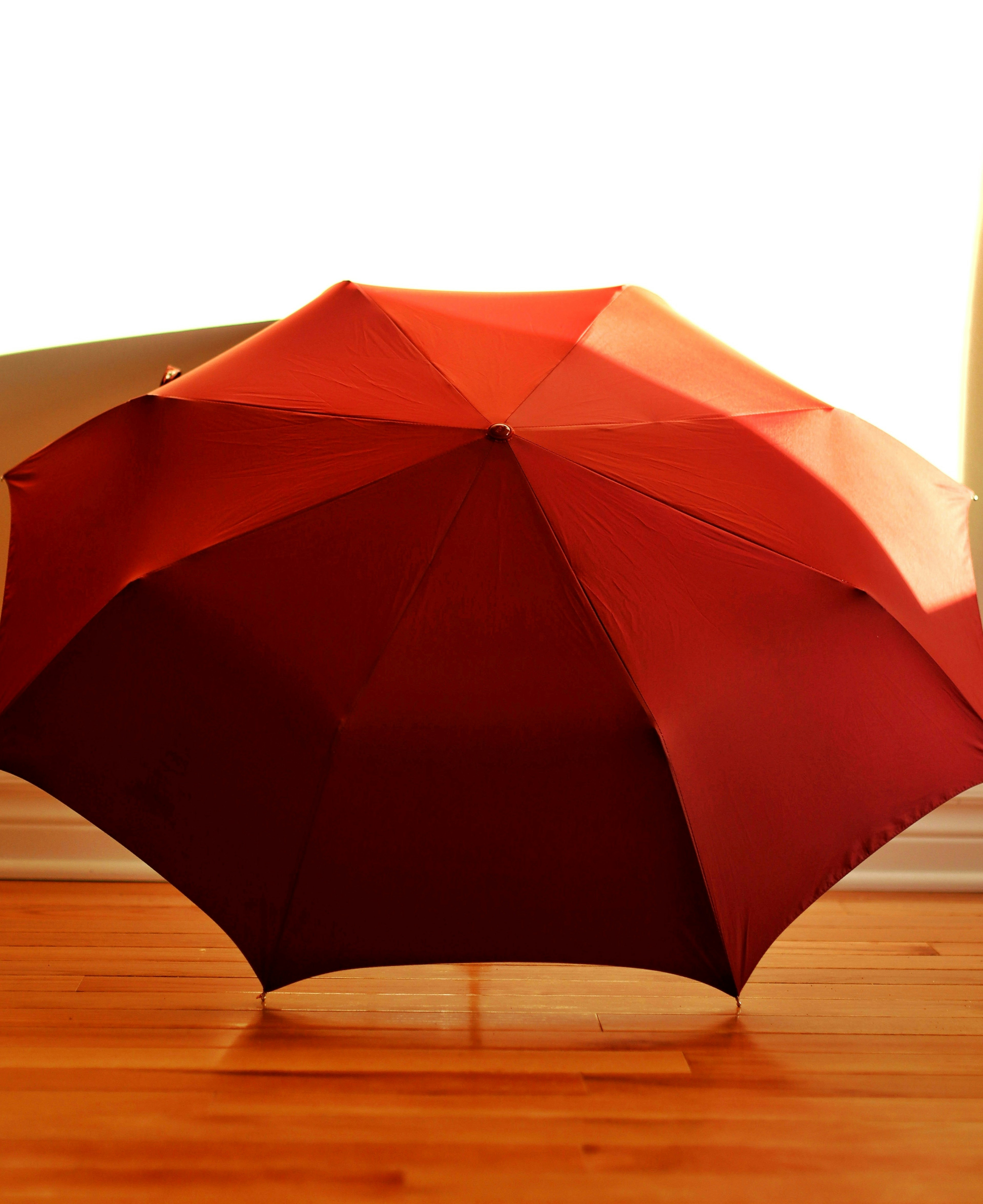 香港の税務調査で弁護士に相談すべき場合