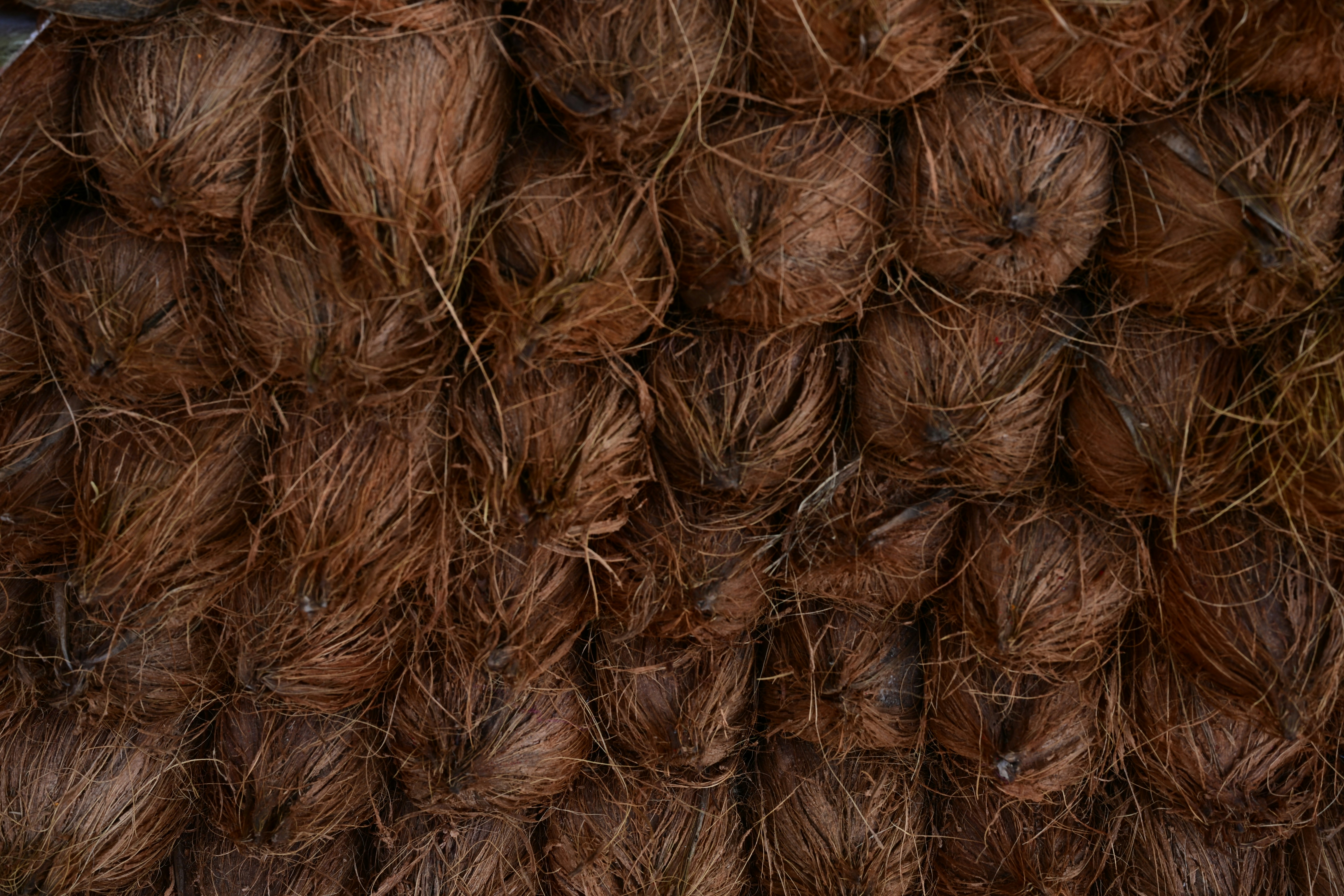 Photo by rrajputphotography