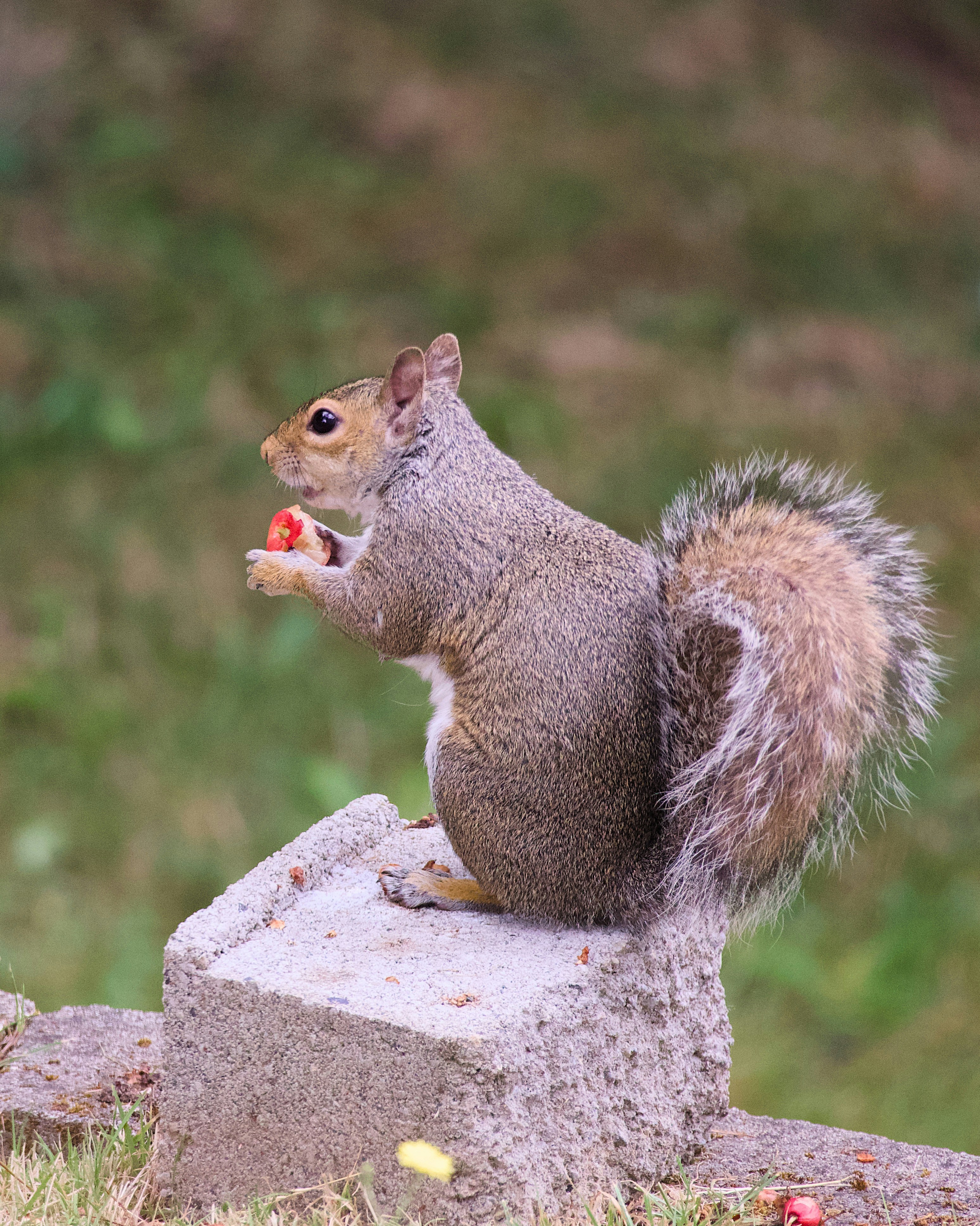 Photo by alexstonepnw