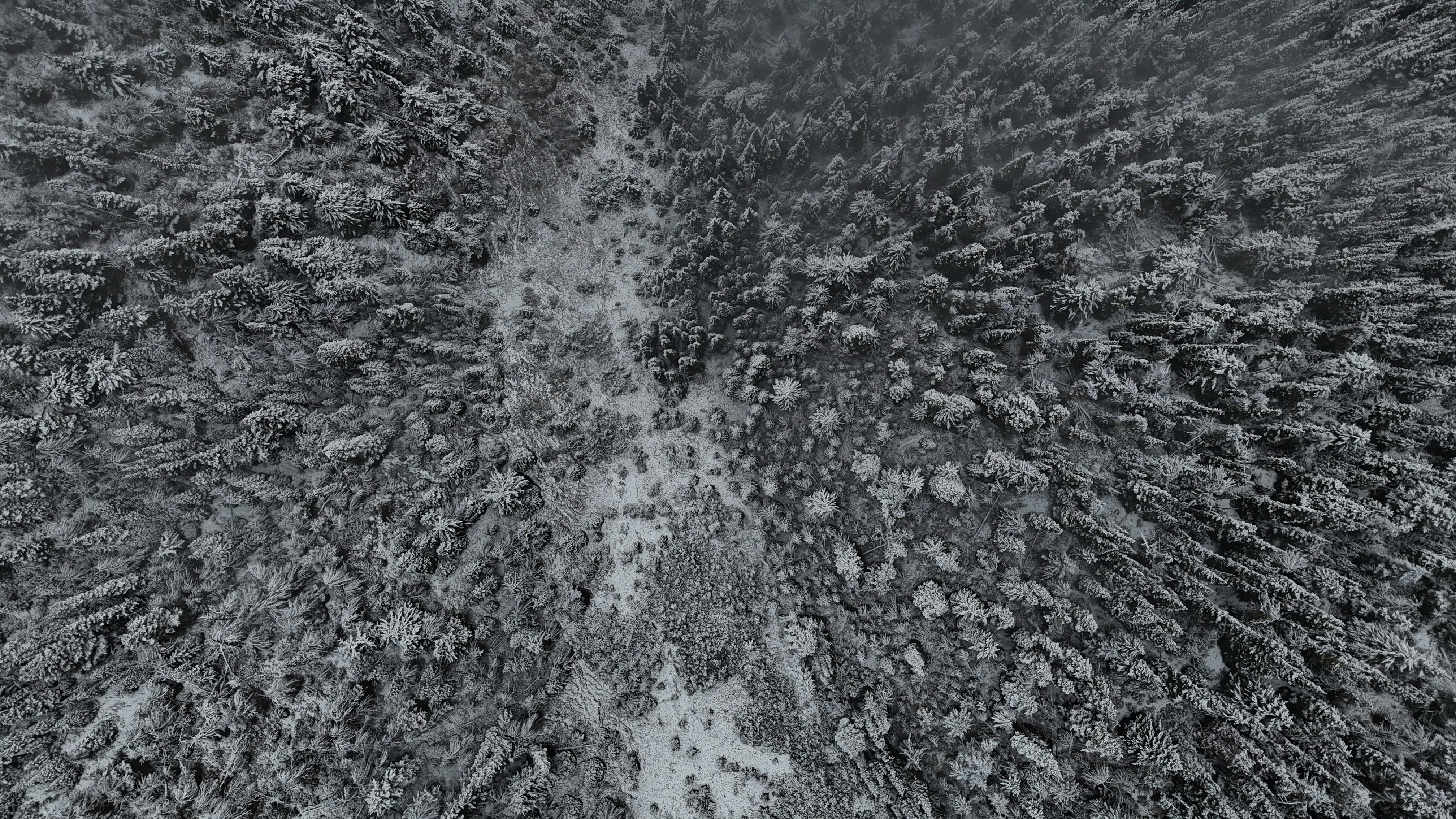 Photo by nathaniel2010