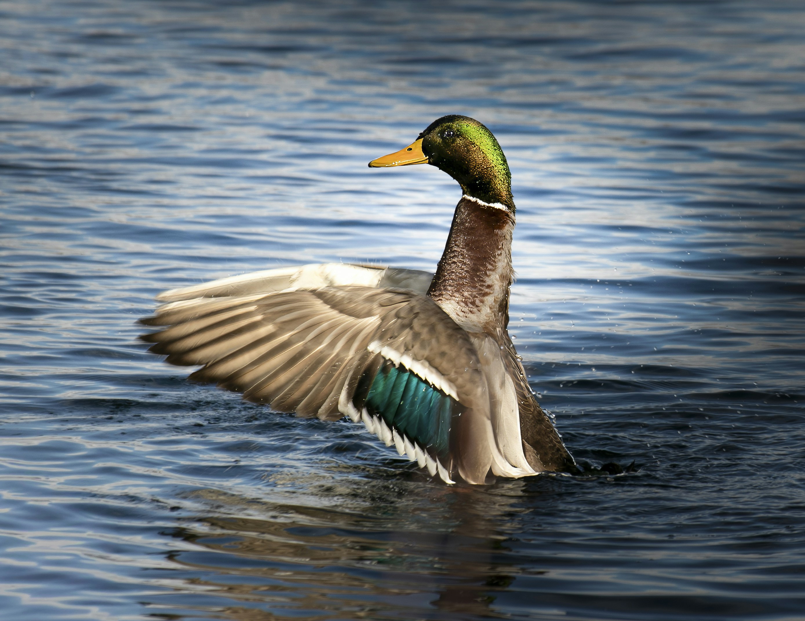 Photo by glenniceburns