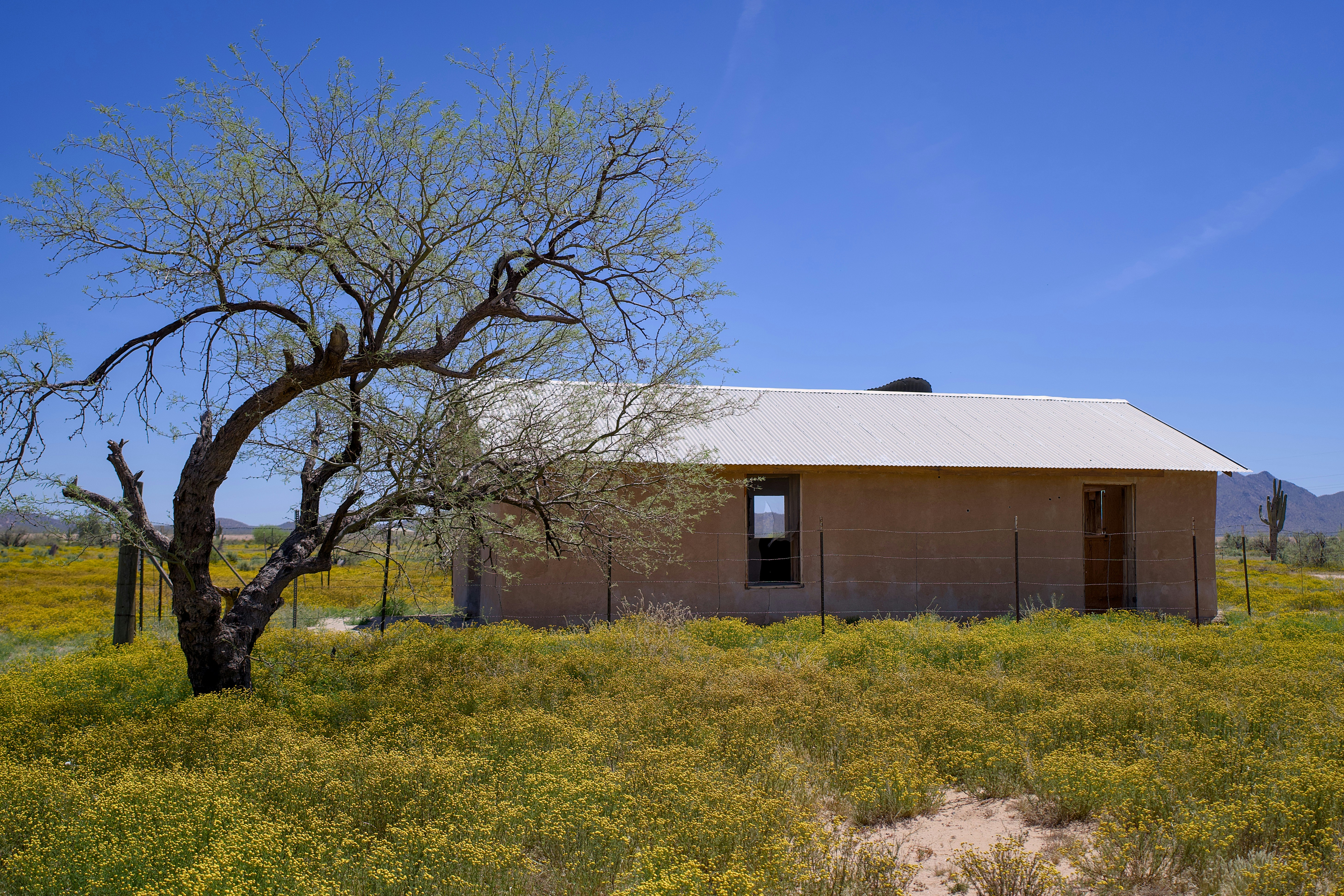 Photo by strangehappenings