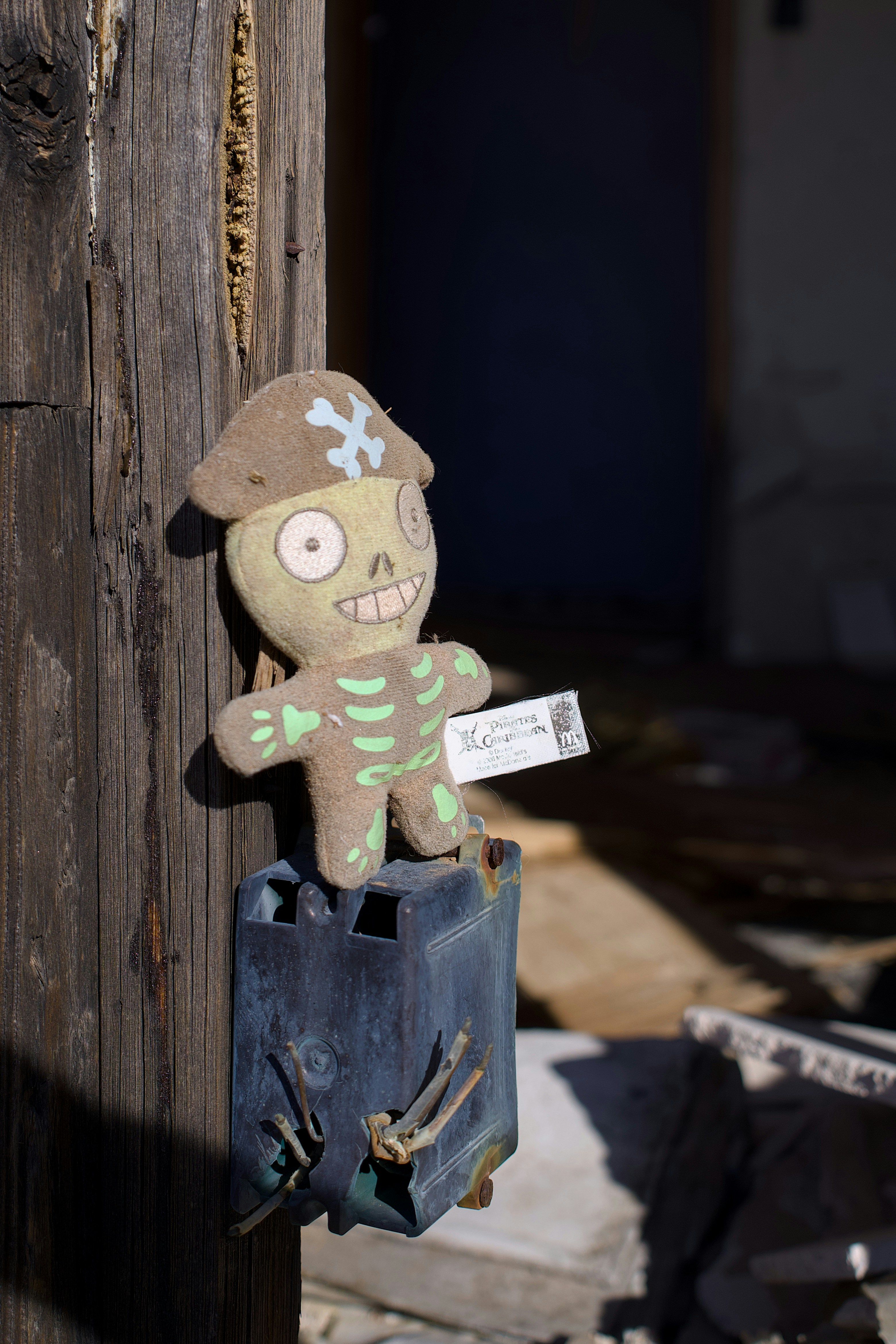 Plush skeleton toy attached to weathered wooden post.