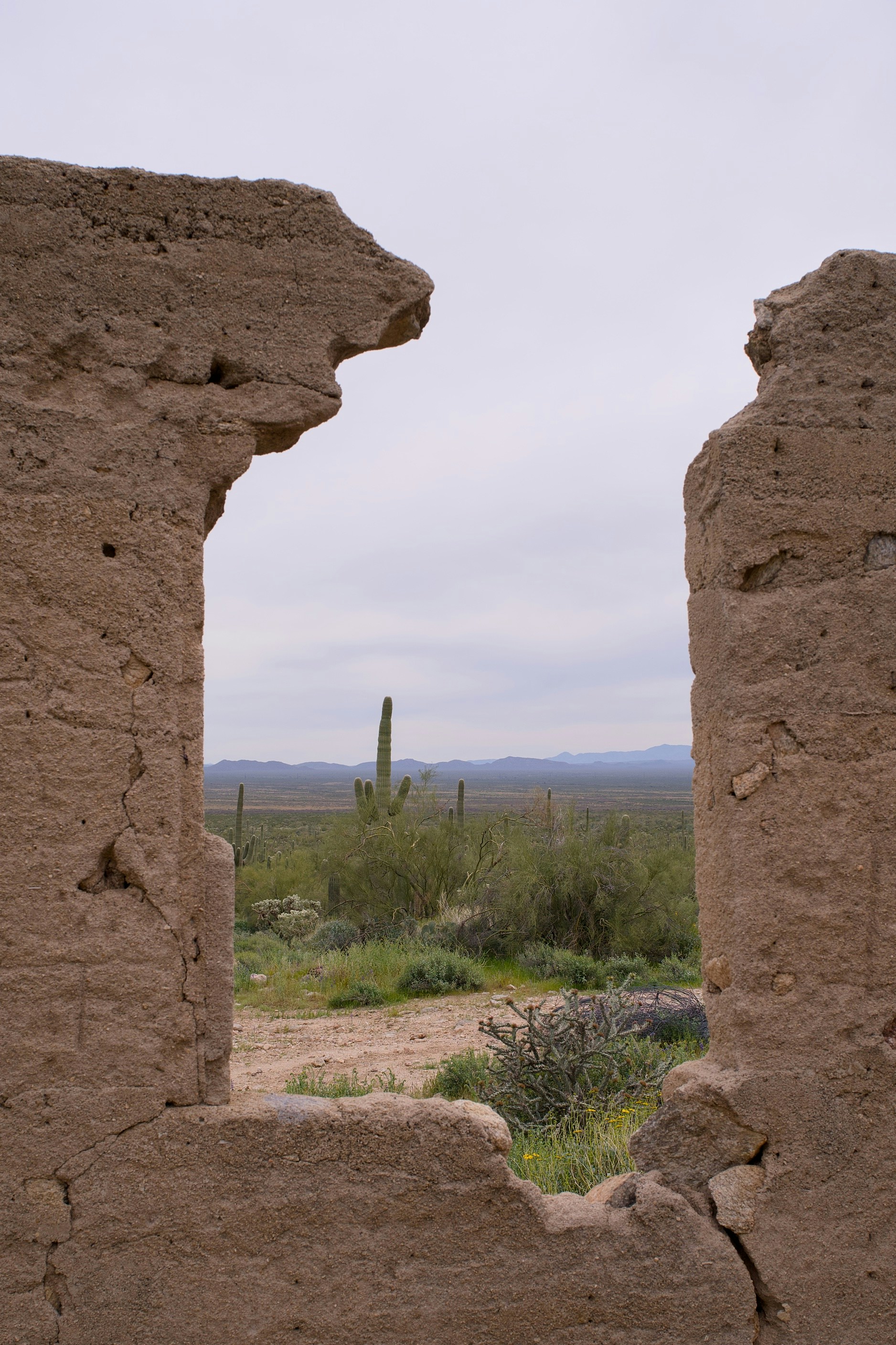 Ruinous adobe wall framing desert landscape with saguaro cactus.