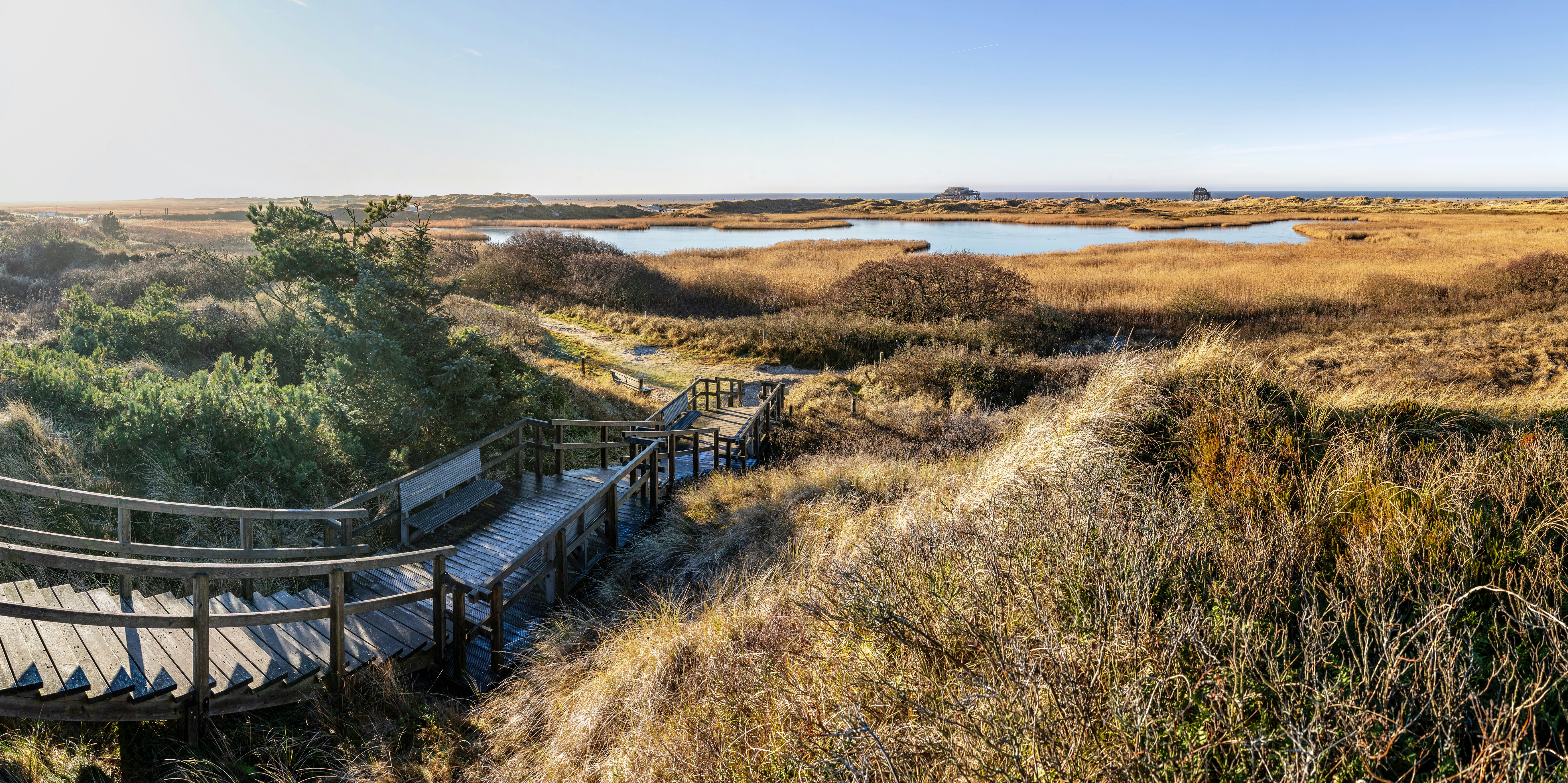 Wooden walkway through dunes towards a marsh and ocean