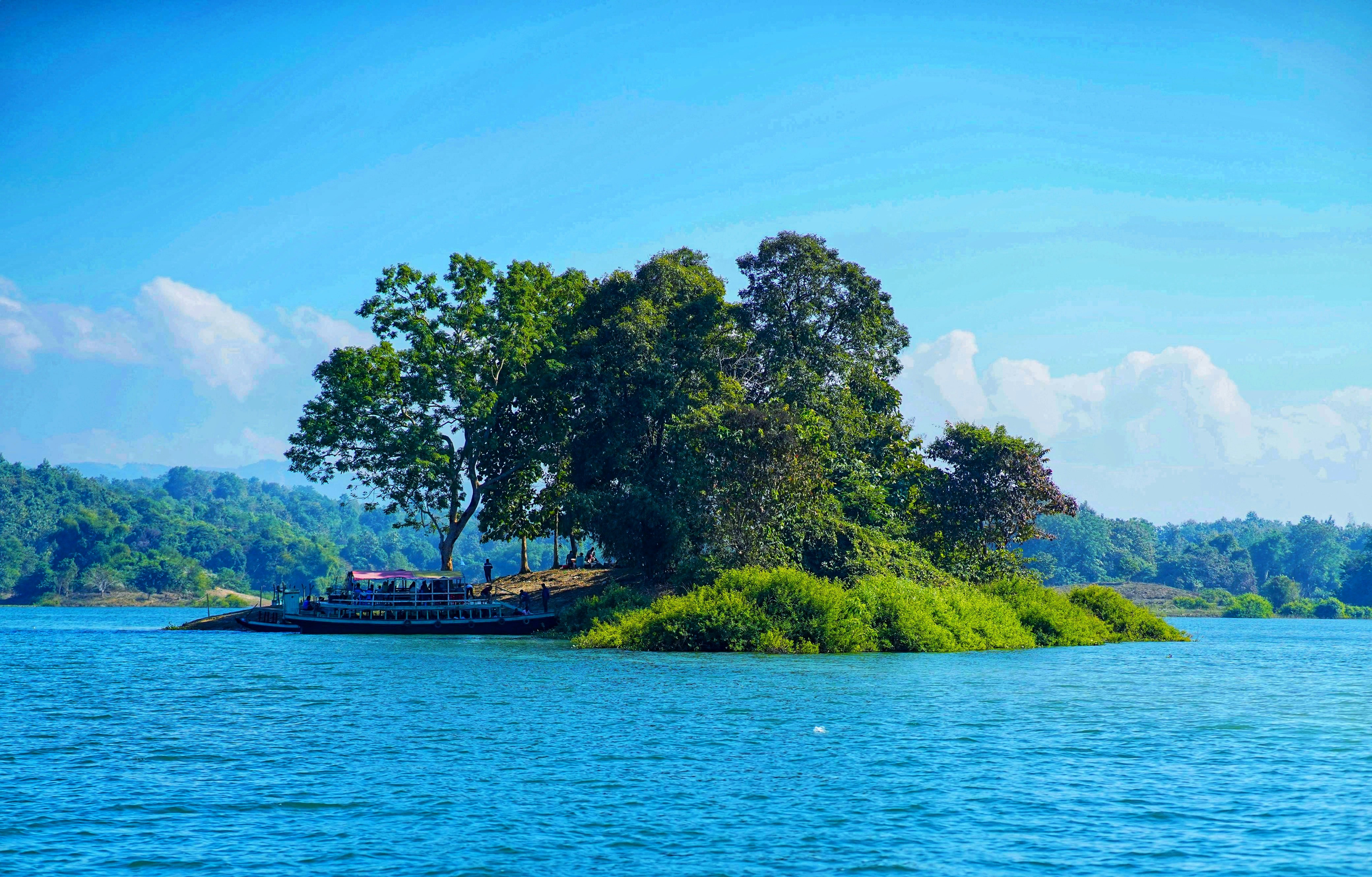 Lush green island with trees in bright blue water.